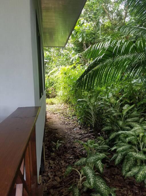 Susan Bungalow#1 Bahía Drake, Corcovado Familia Amaya