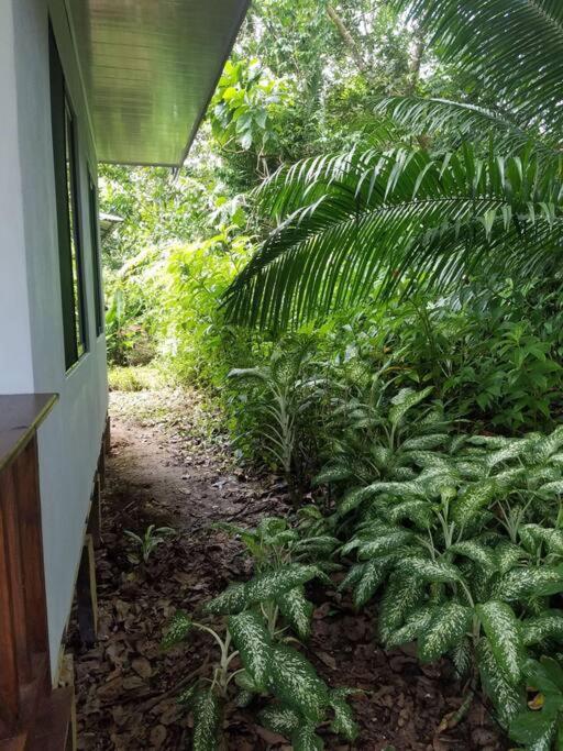 Susan Bungalow#1 Bahía Drake, Corcovado Familia Amaya