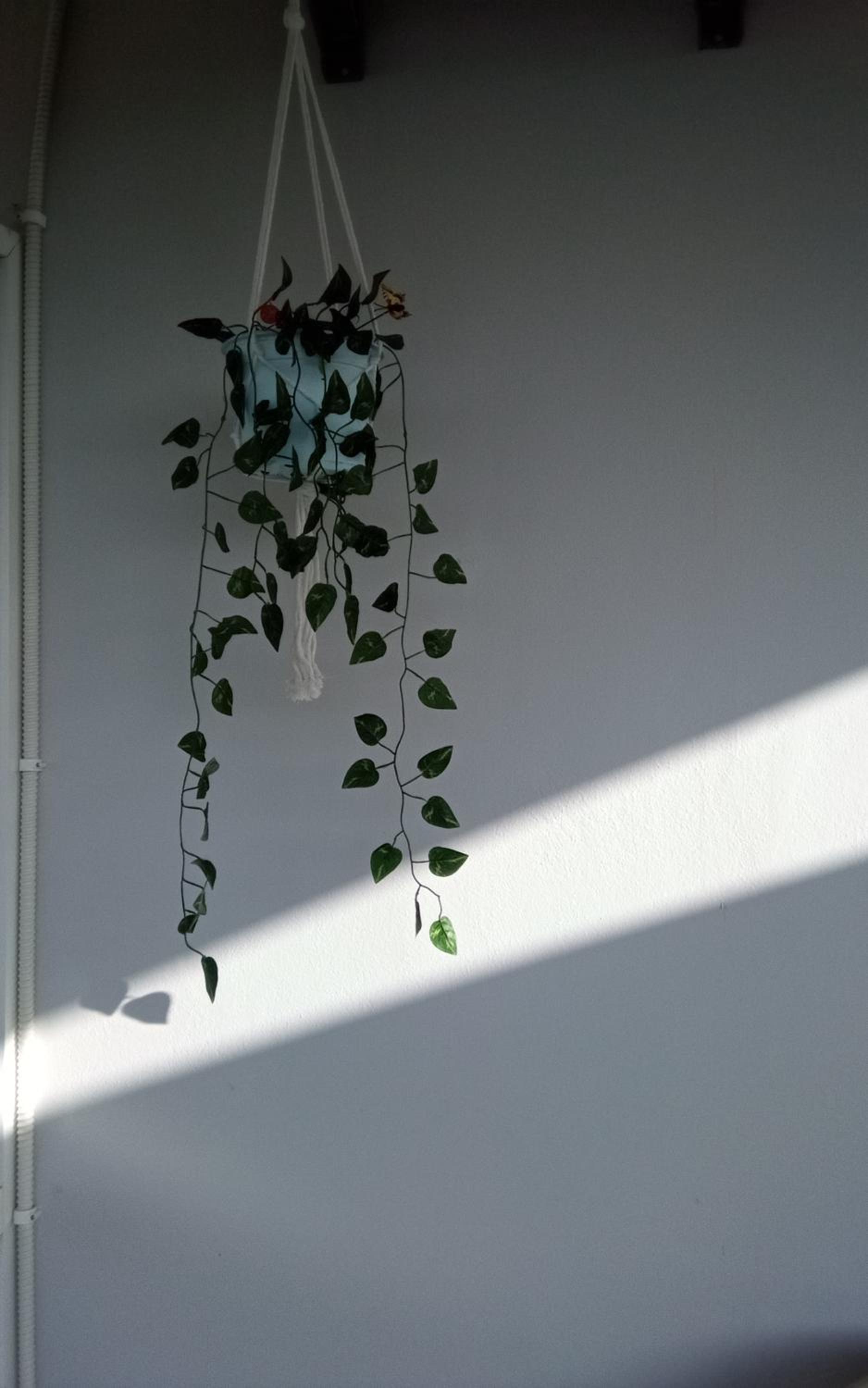 Panorama Rooms