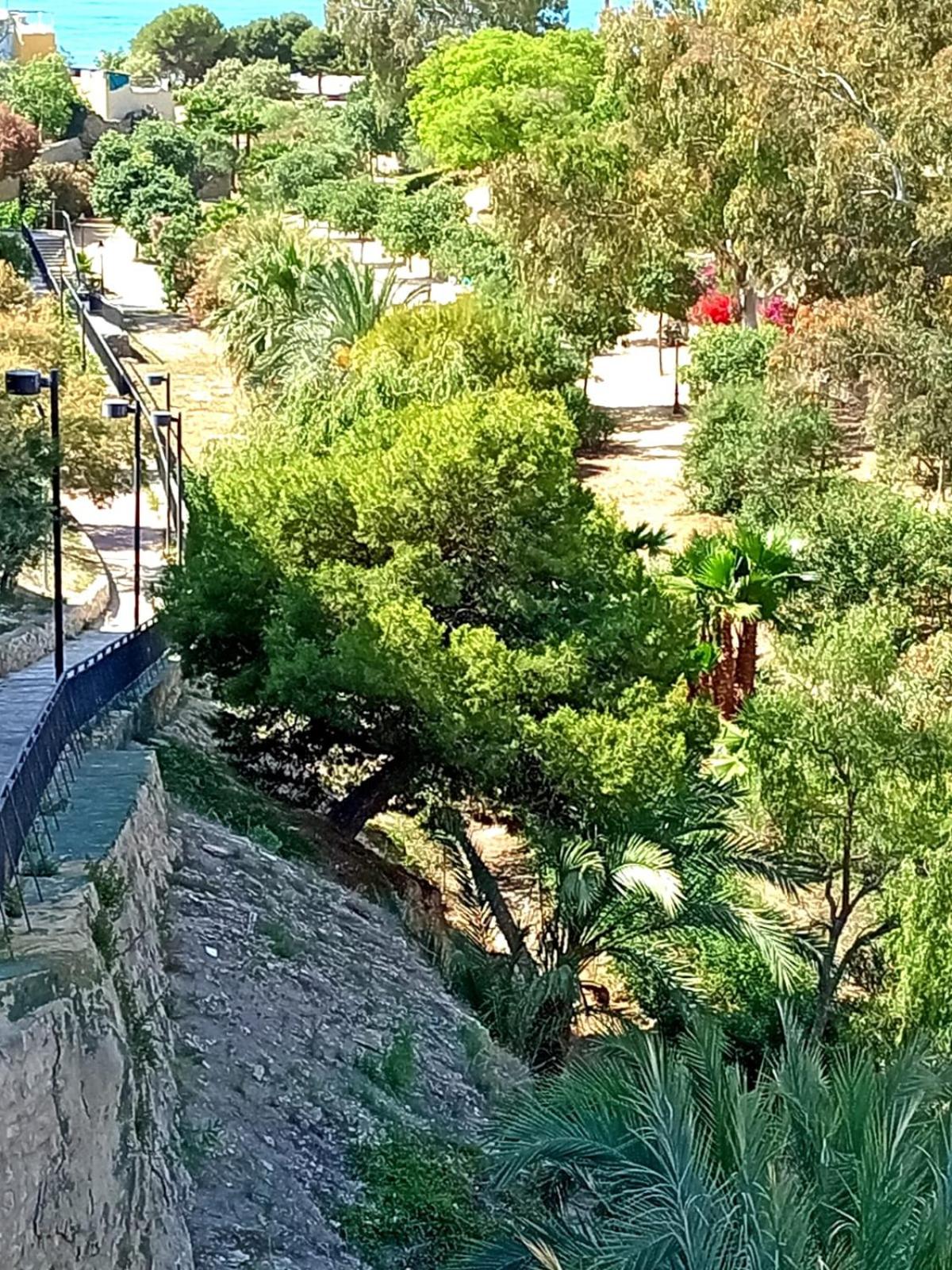 La Muralla