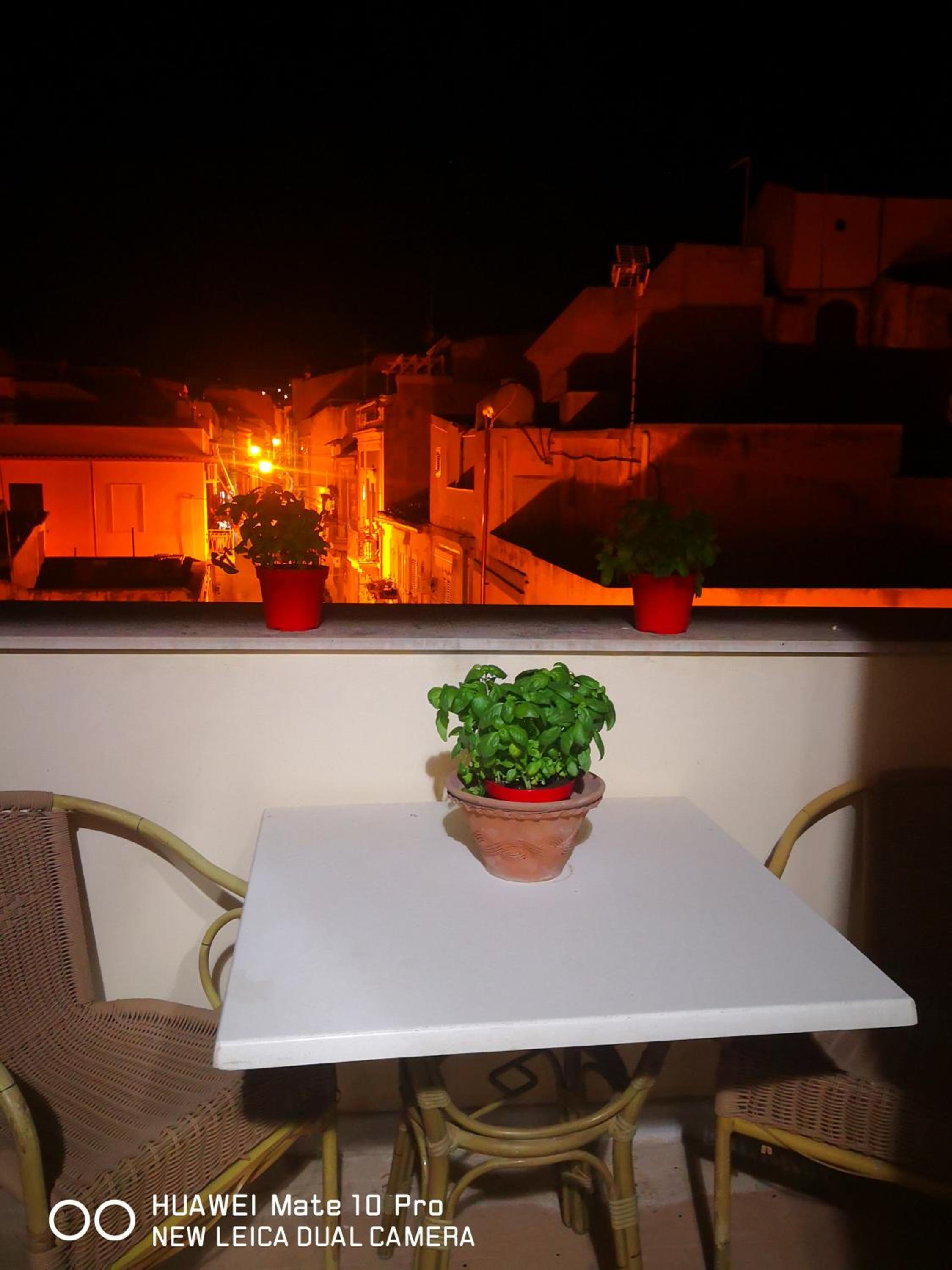 Ficus house 2 photo 4