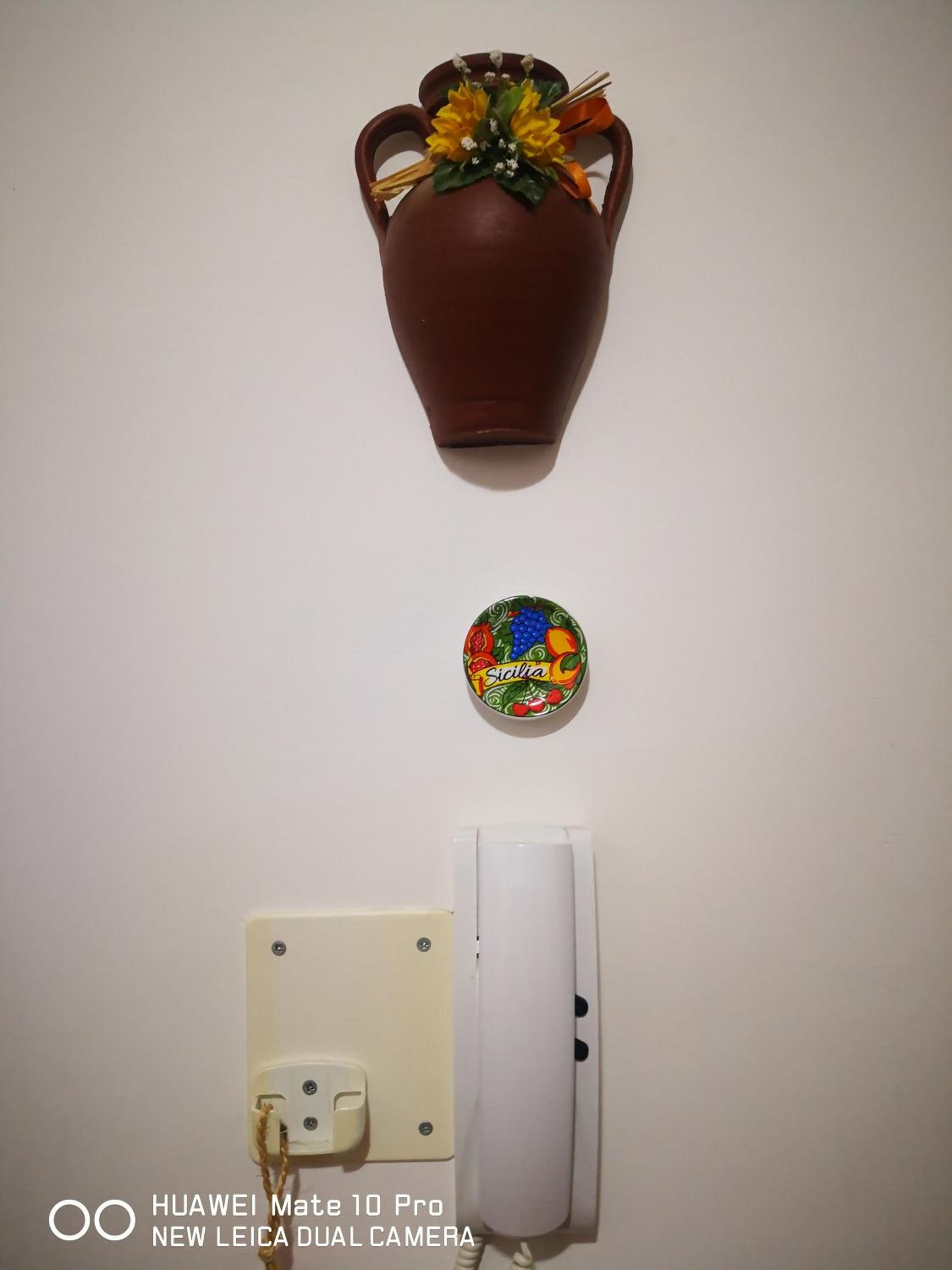 Ficus house 2 photo 2