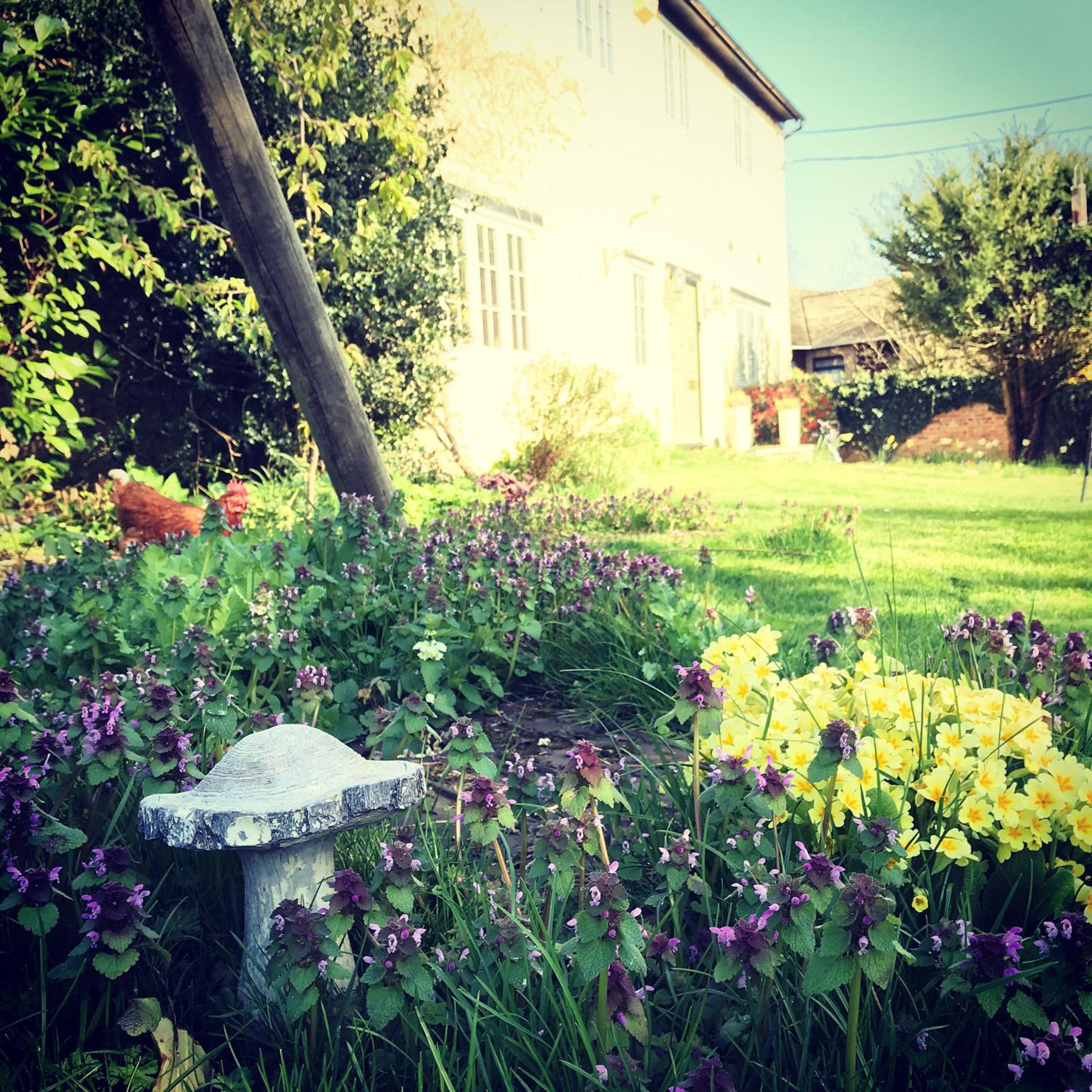 Home Farm Bed & Breakfast