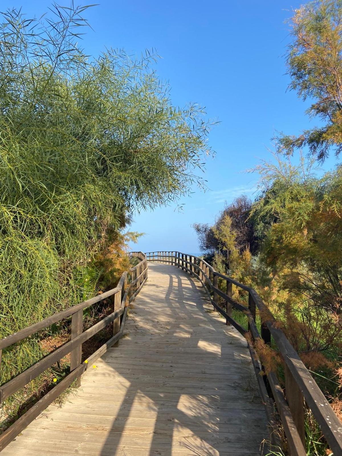 Caballo de Mar