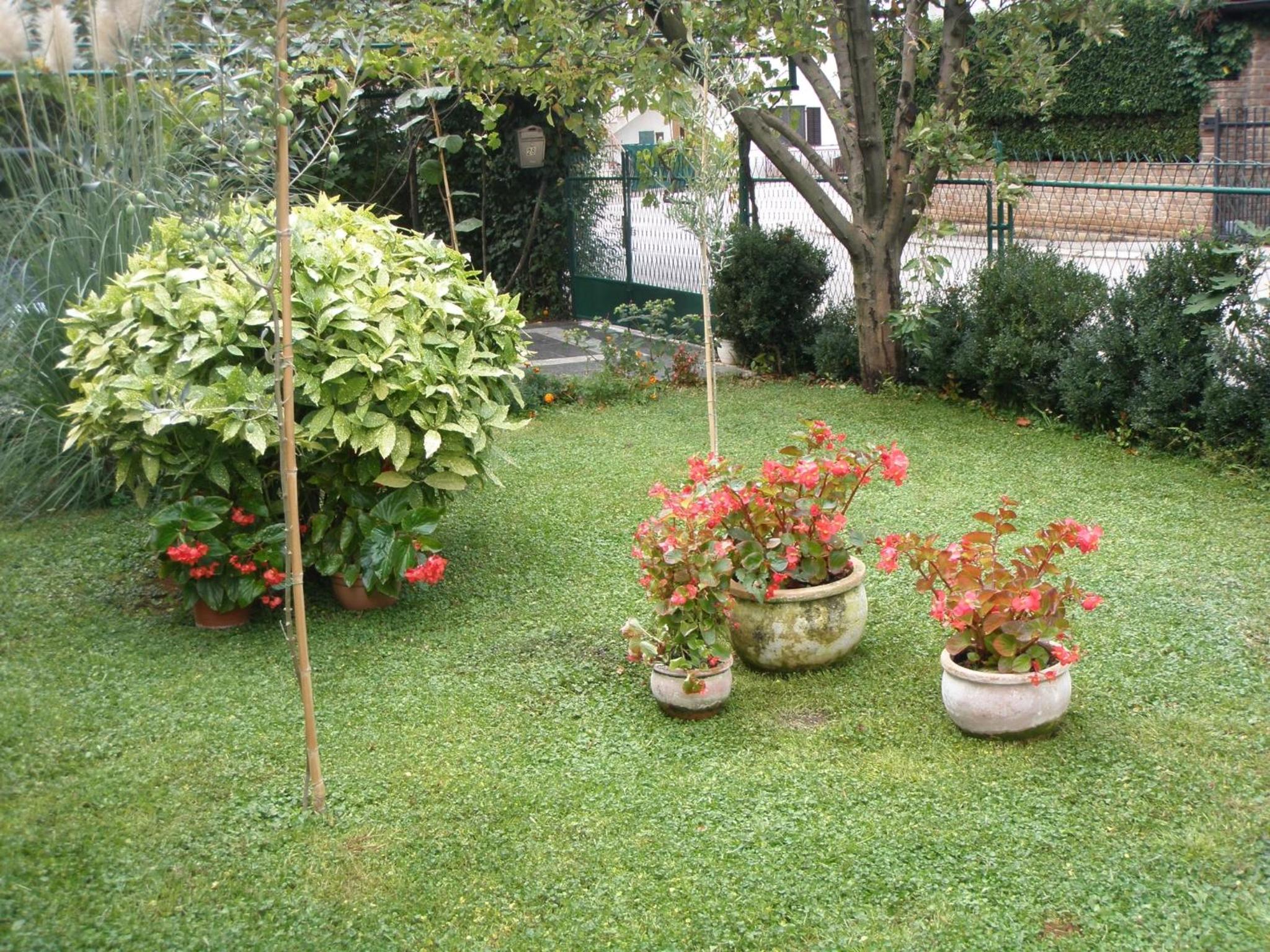 Photo 39