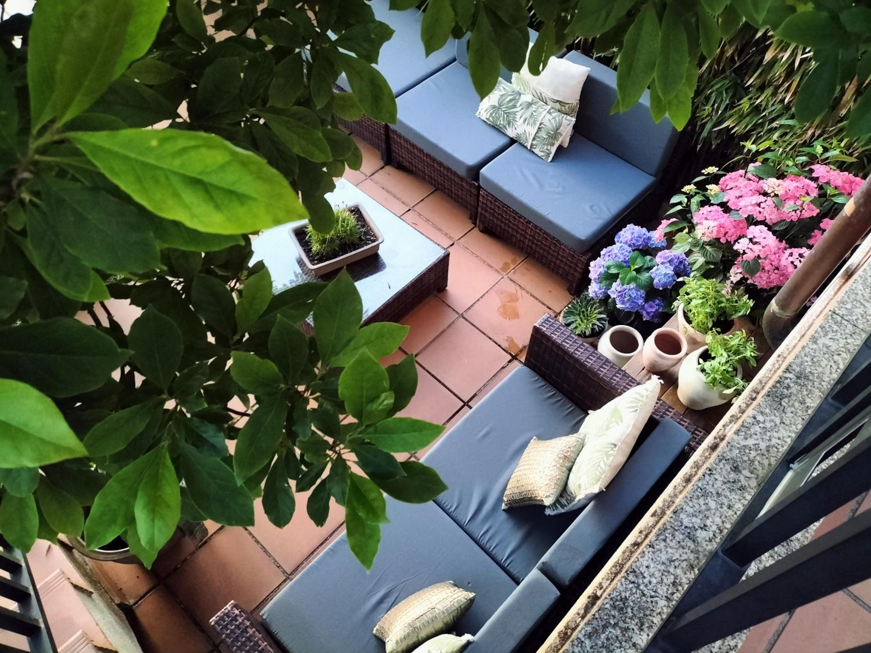 balance & terrace