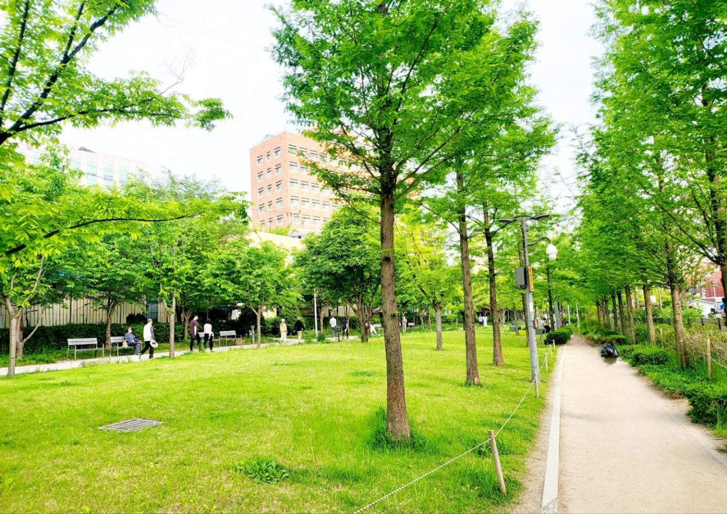 Park stay #Hongdae sinchon 10min #metro 3min #3beds