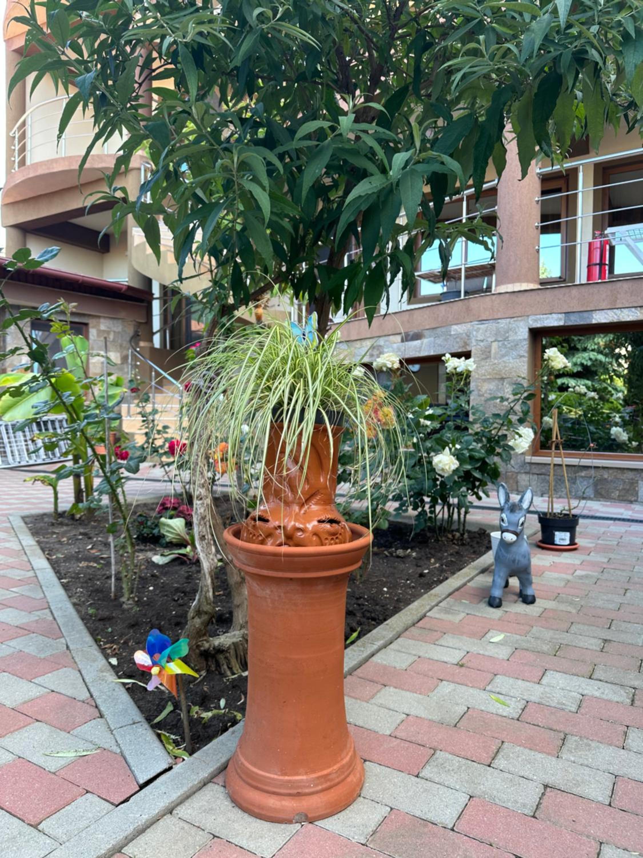 Photo 21