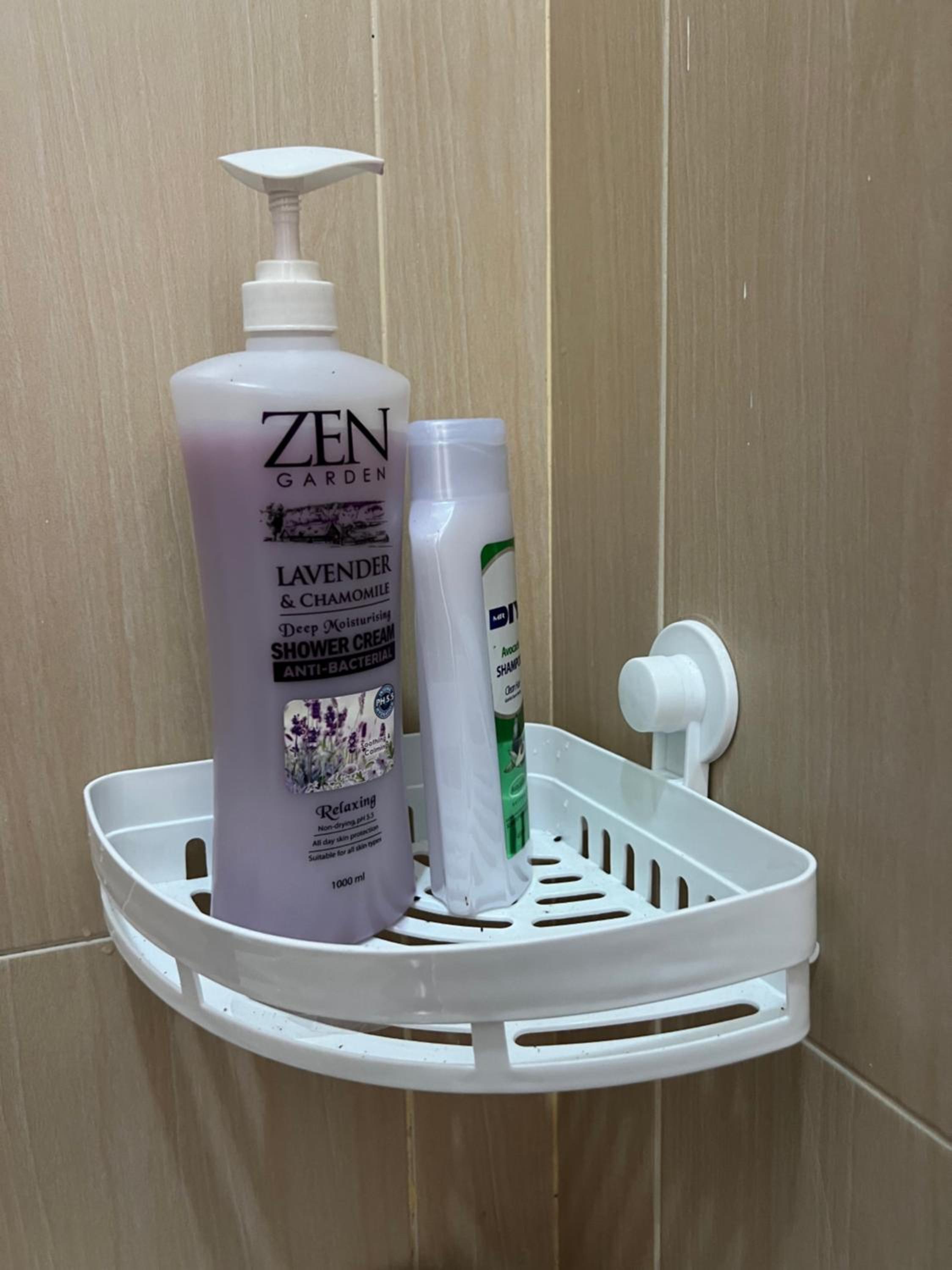 Photo 12