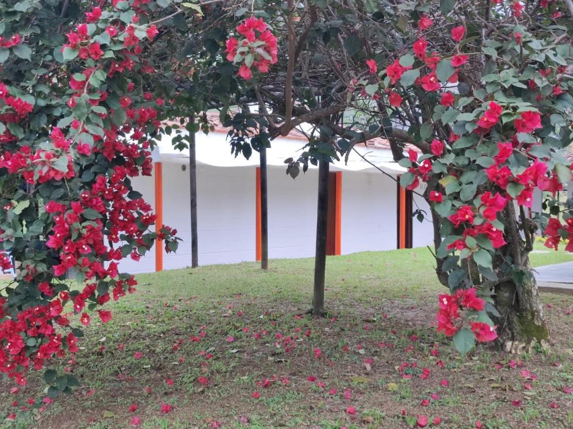 Finca PiedrAlta Cisneros