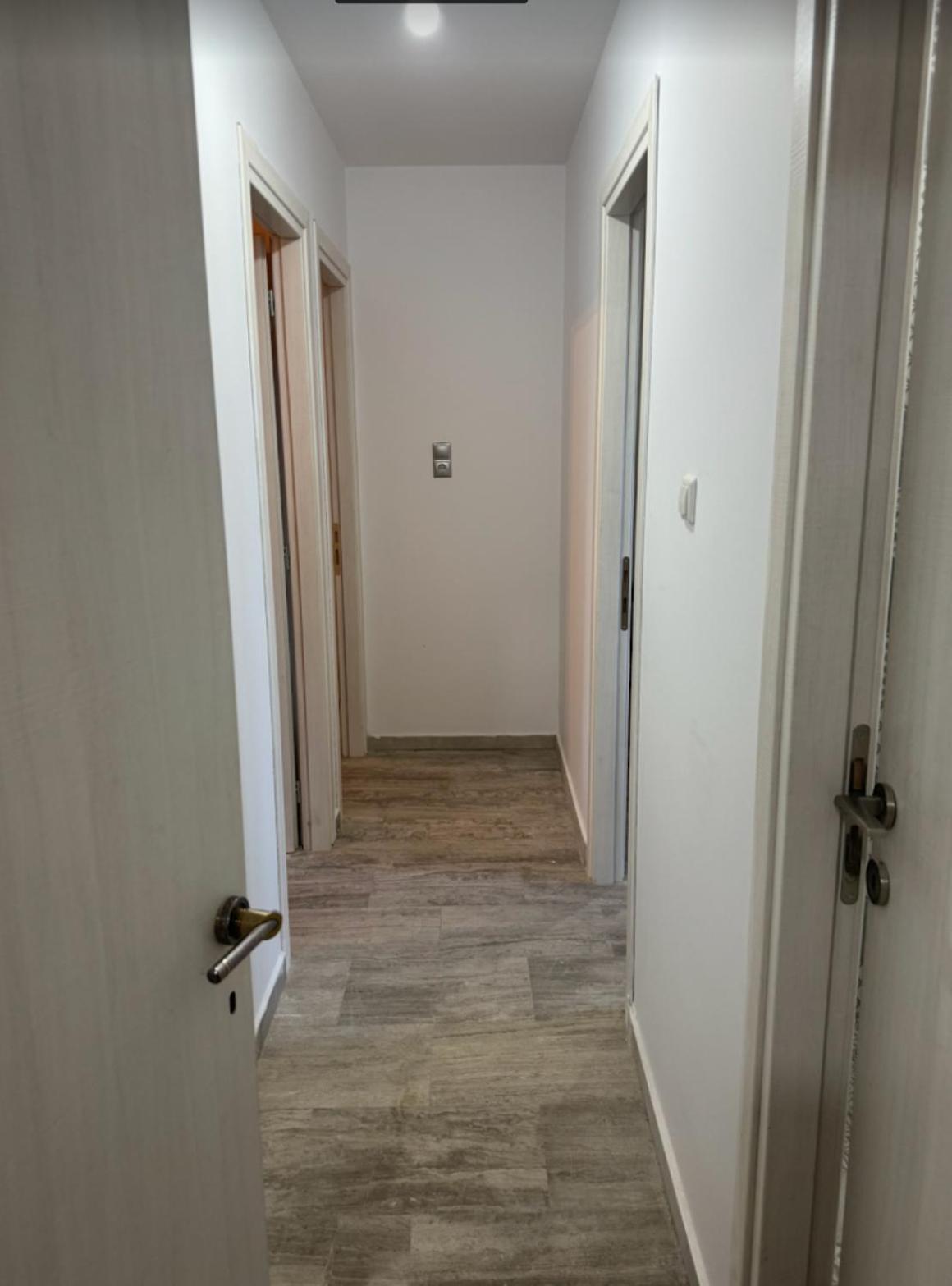 Classic apartment Meronas