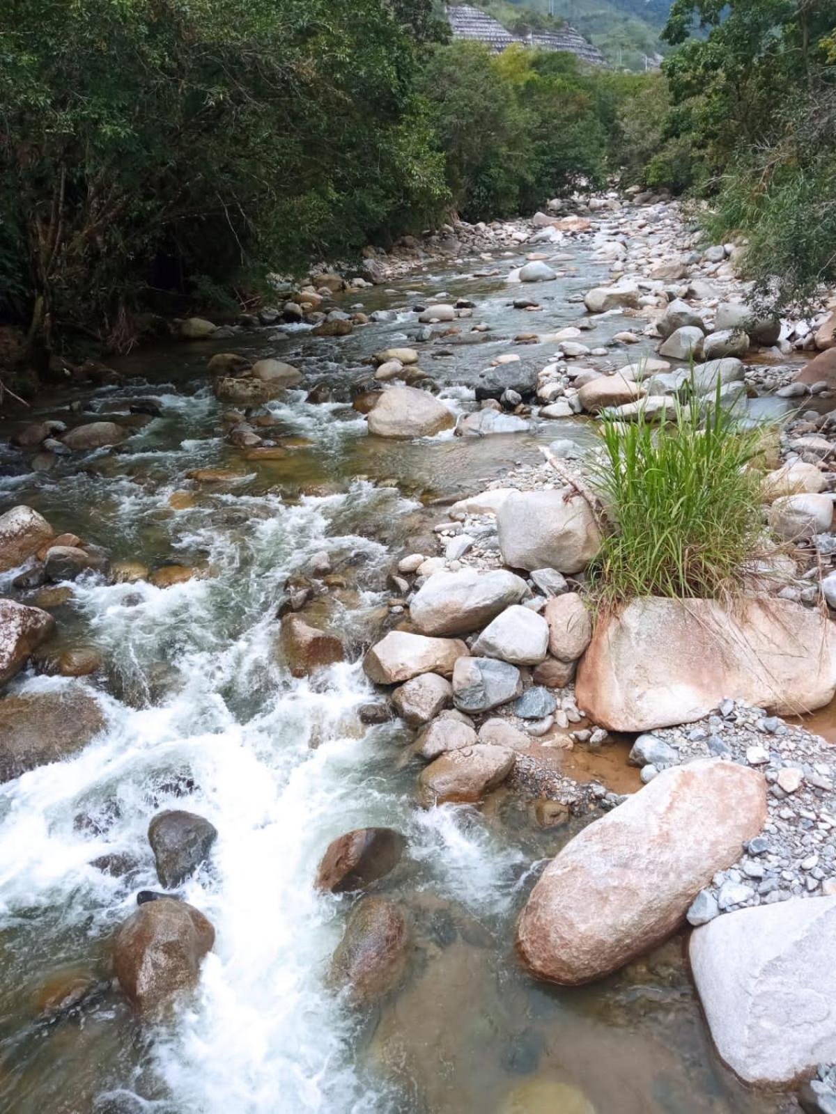 Finca PiedrAlta Cisneros