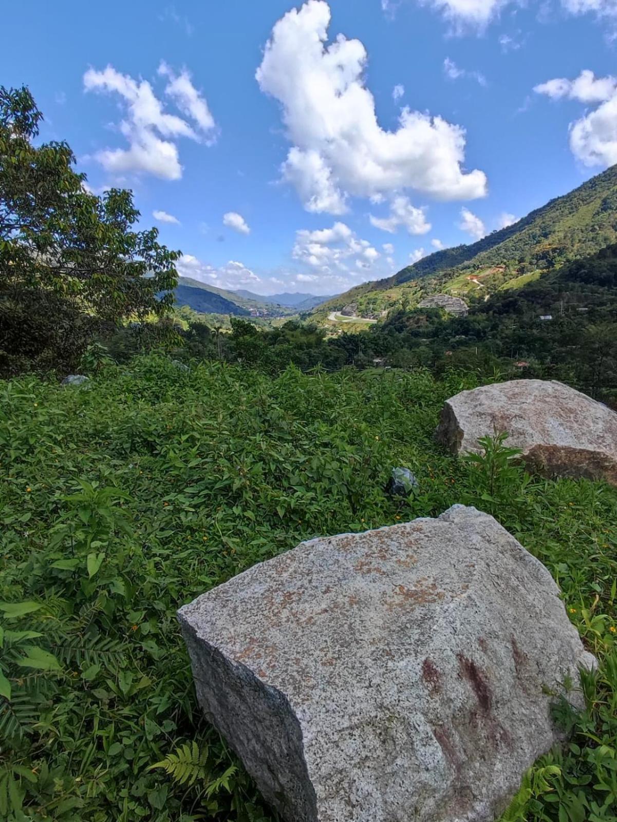 Finca PiedrAlta Cisneros