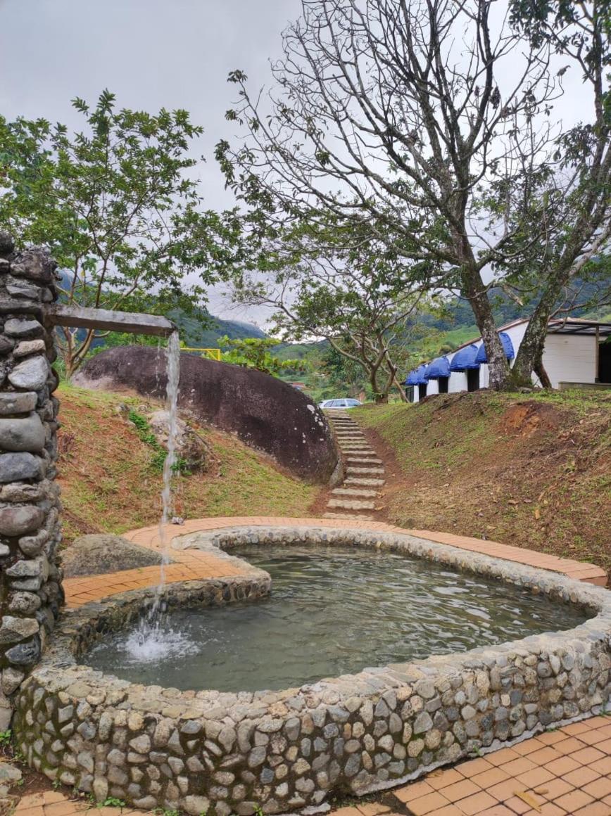 Finca PiedrAlta Cisneros