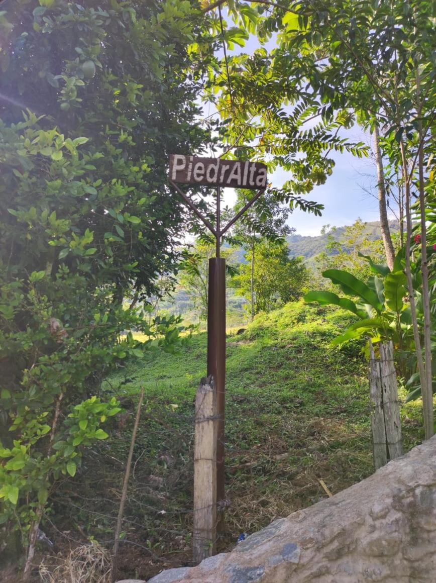 Finca PiedrAlta Cisneros