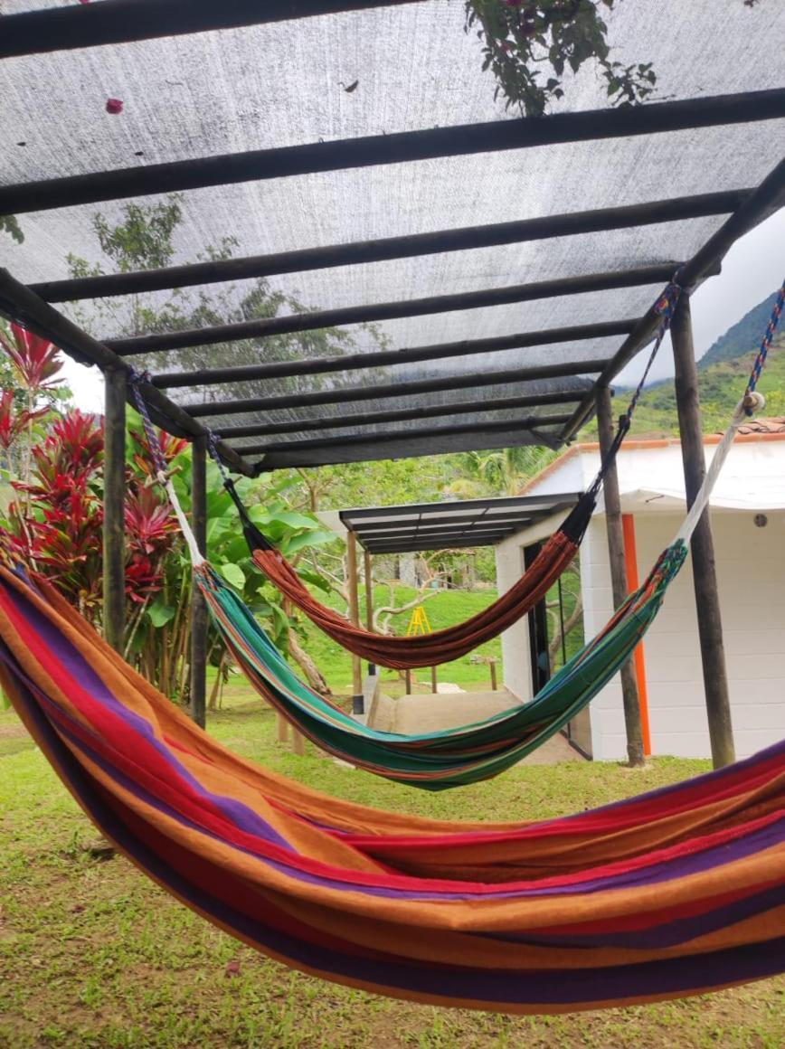 Finca PiedrAlta Cisneros