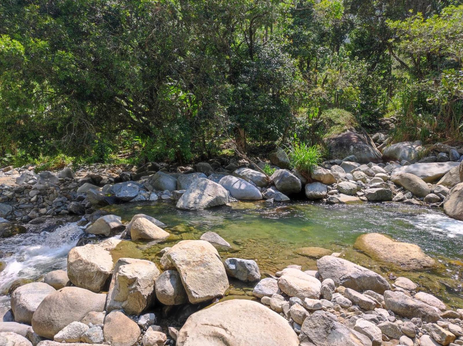 Finca PiedrAlta Cisneros