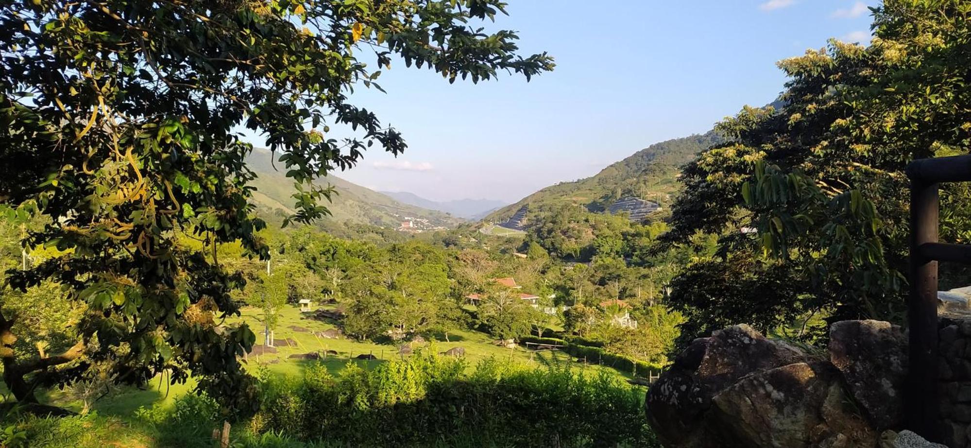 Finca PiedrAlta Cisneros