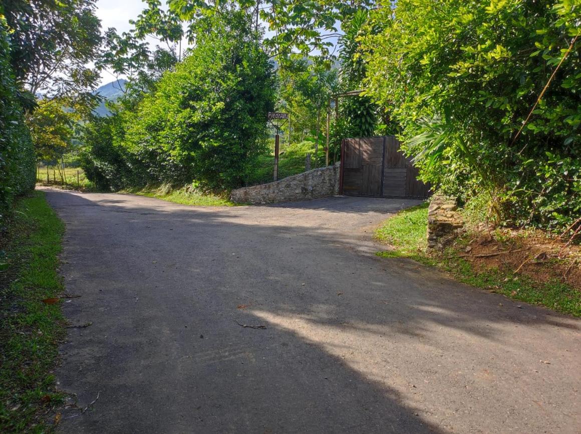 Finca PiedrAlta Cisneros