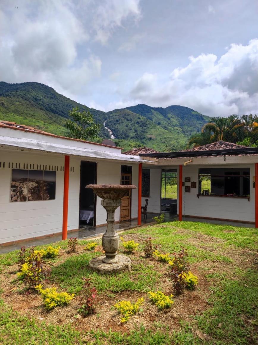 Finca PiedrAlta Cisneros