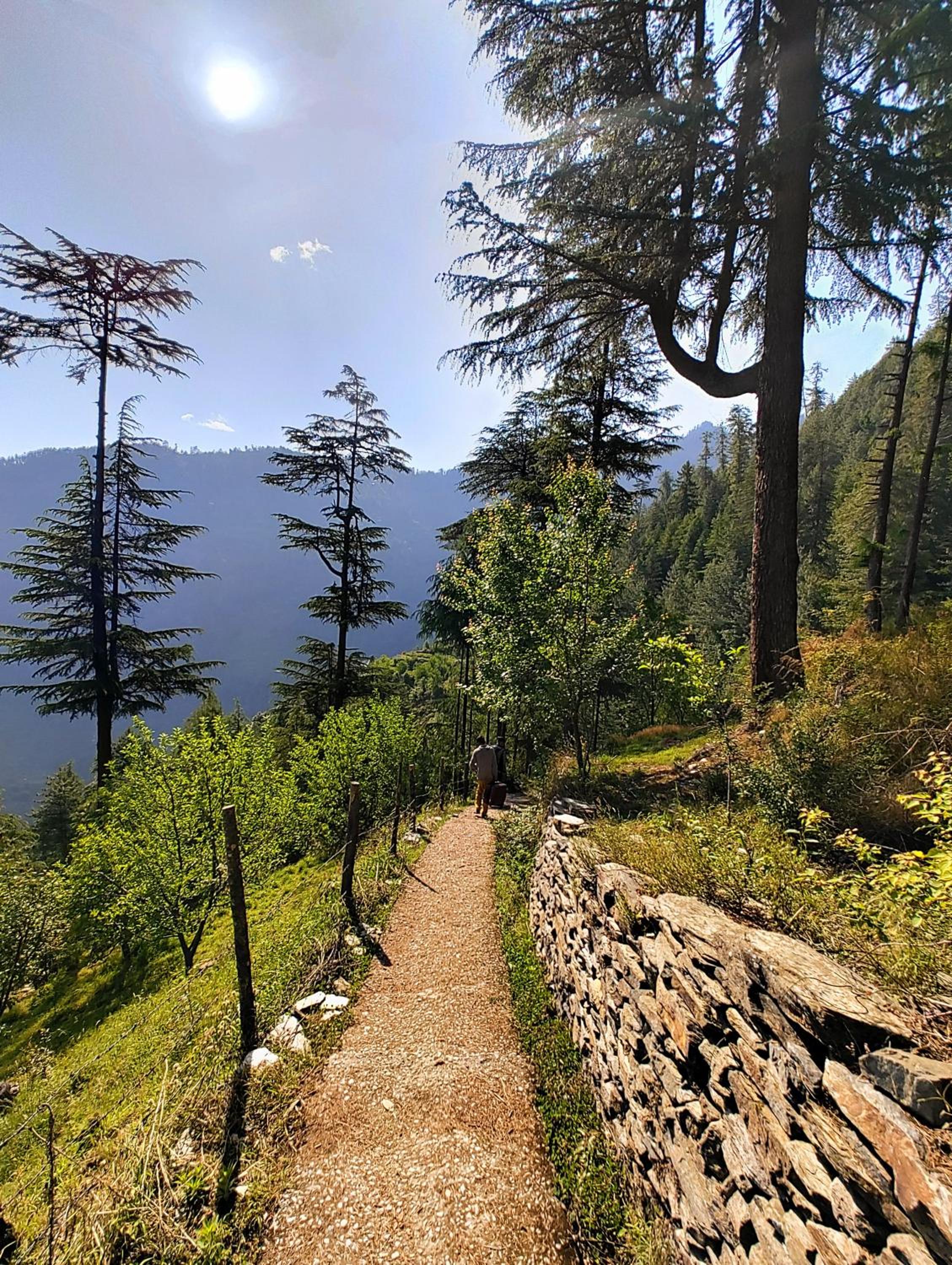 Pin Parvati Wooden Cottages - Hidden Monkey Experiences view 2