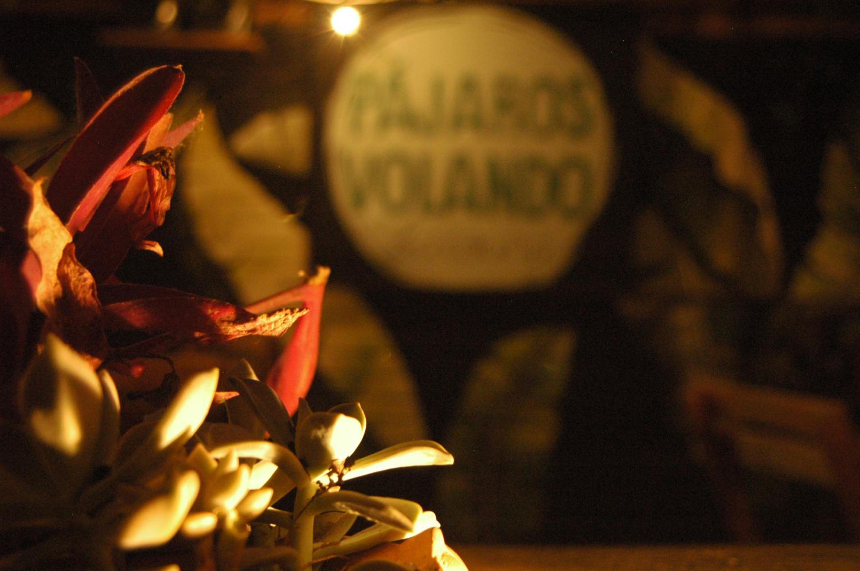 Pajaros Volando Hostel Merlo San Luis