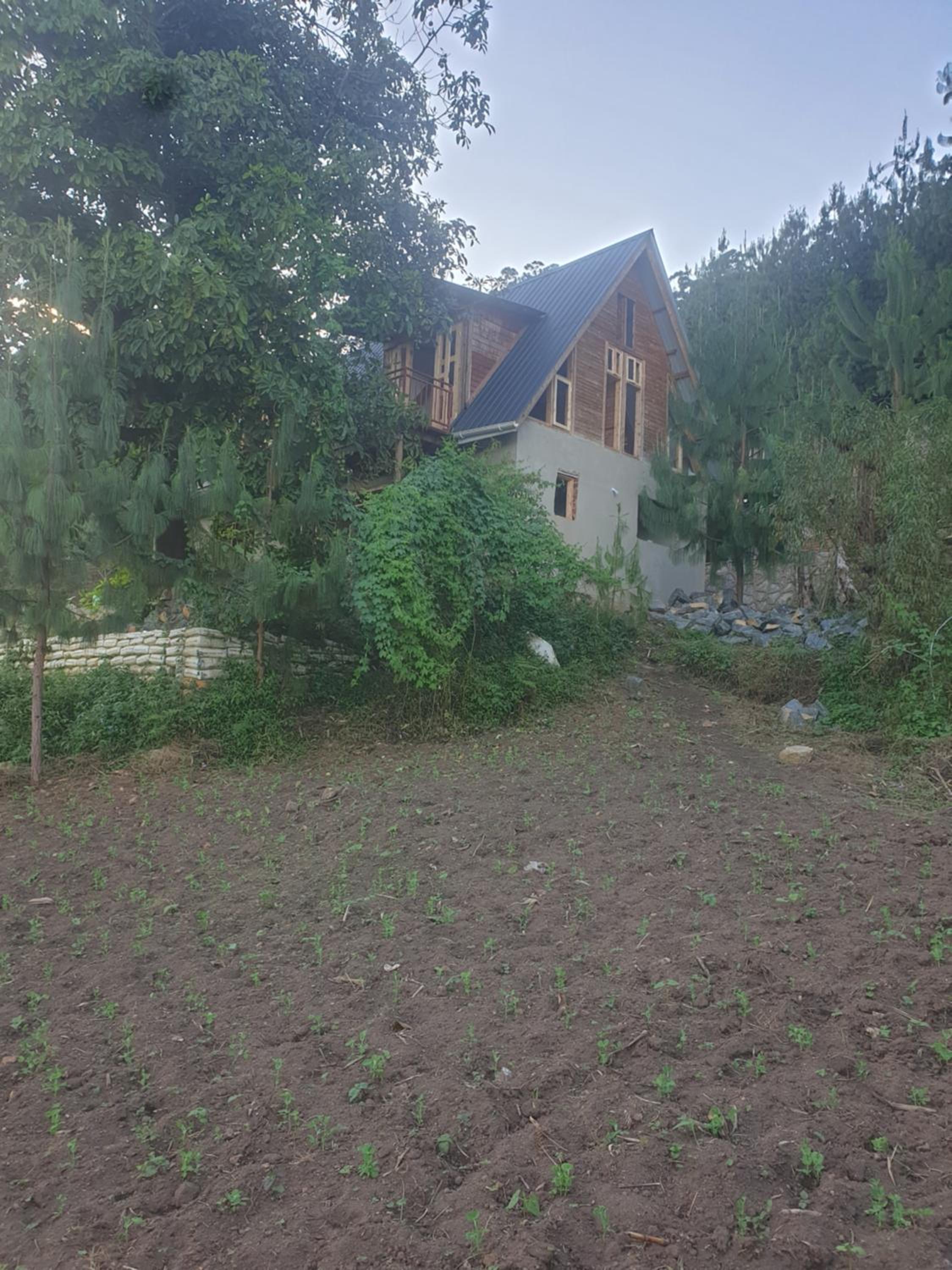 Photo 15