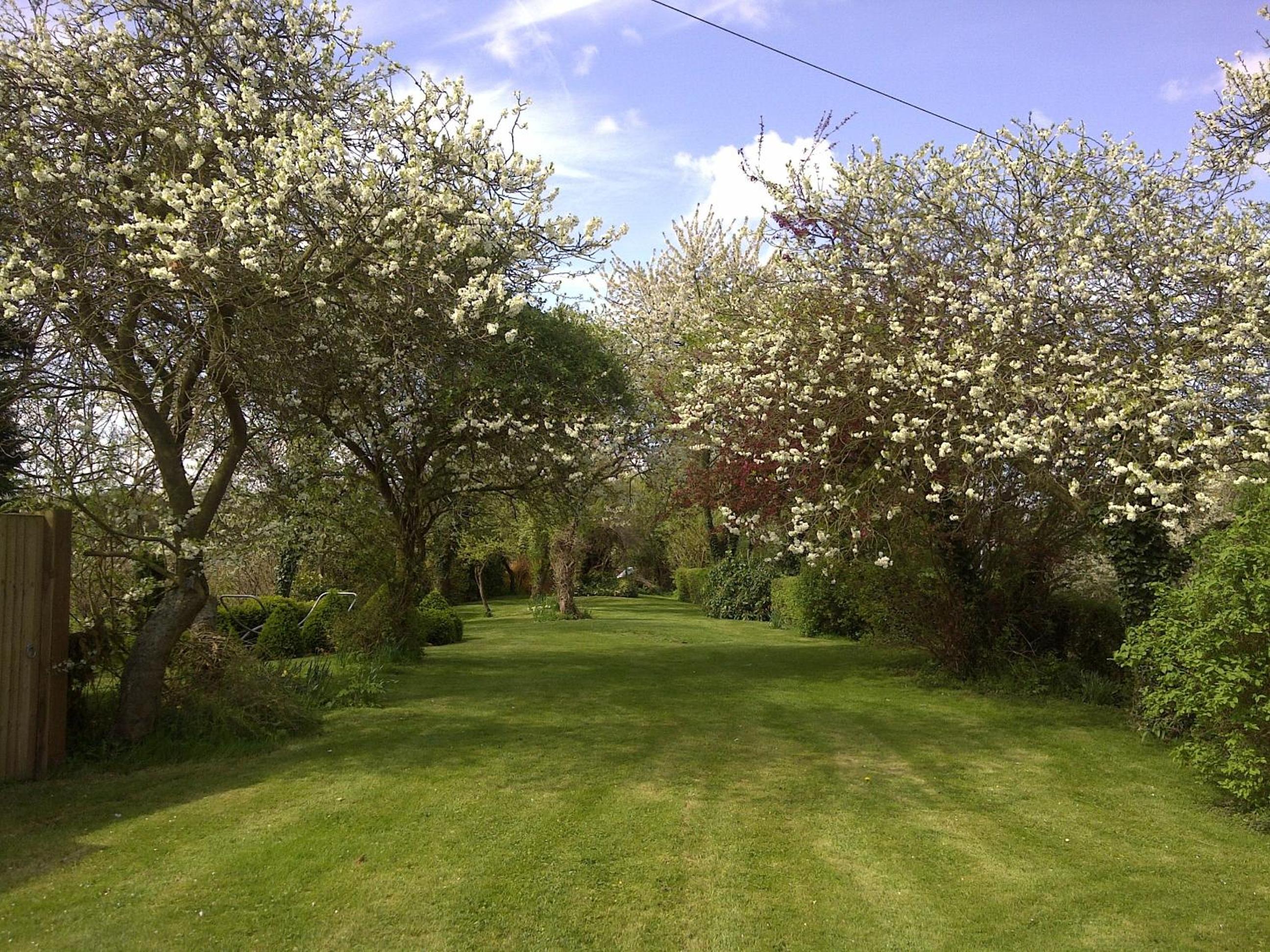 Acreland Green view 4