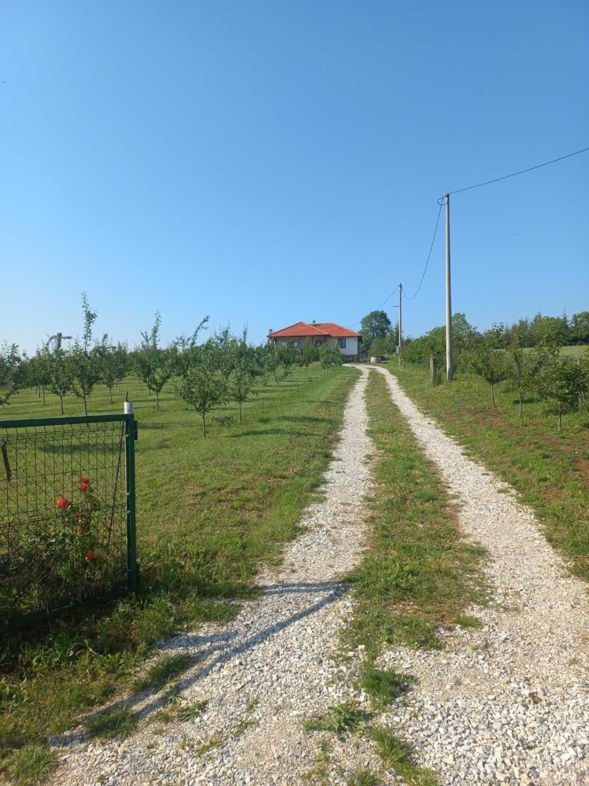 Villa Sladjana