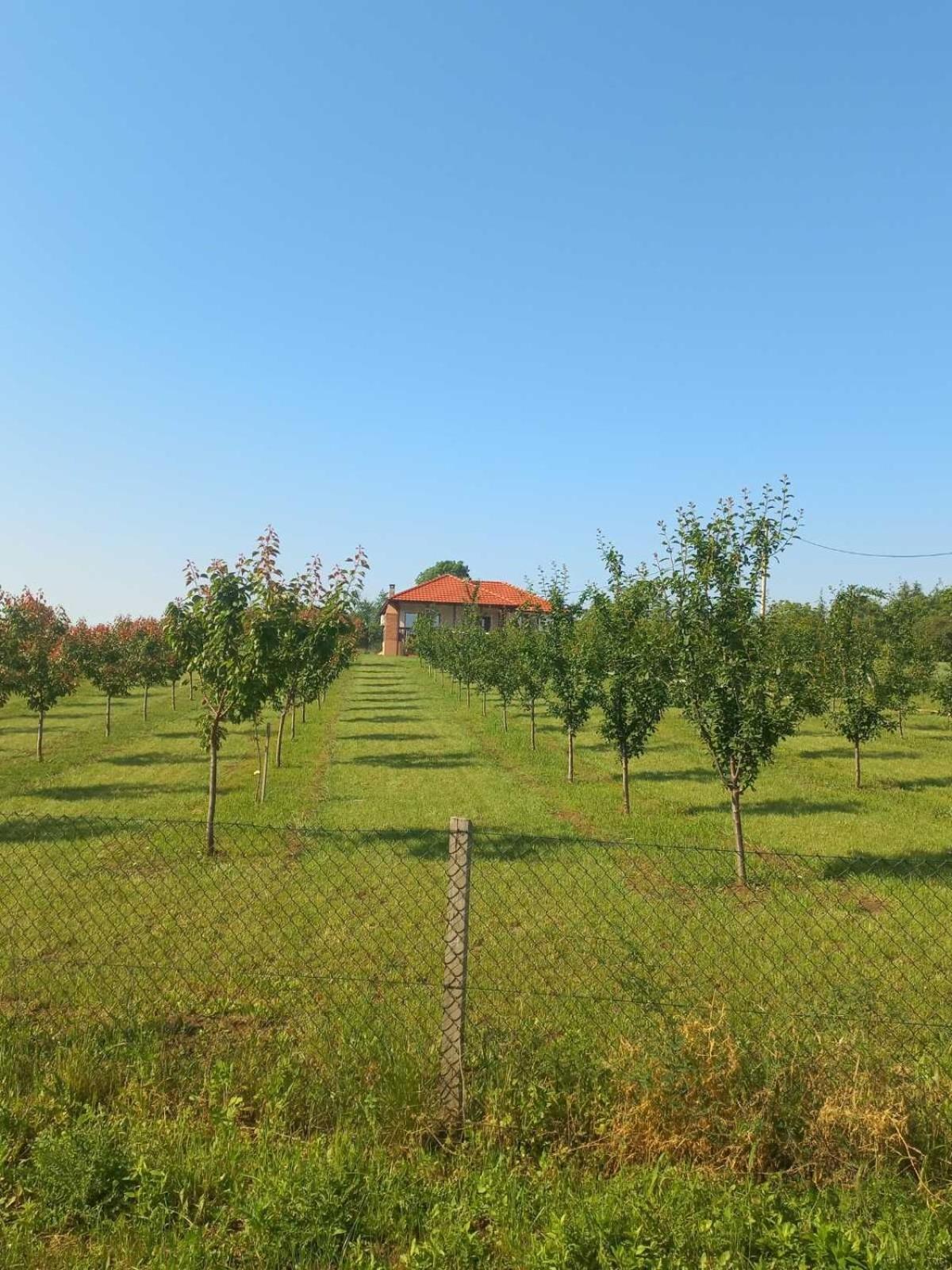Villa Sladjana