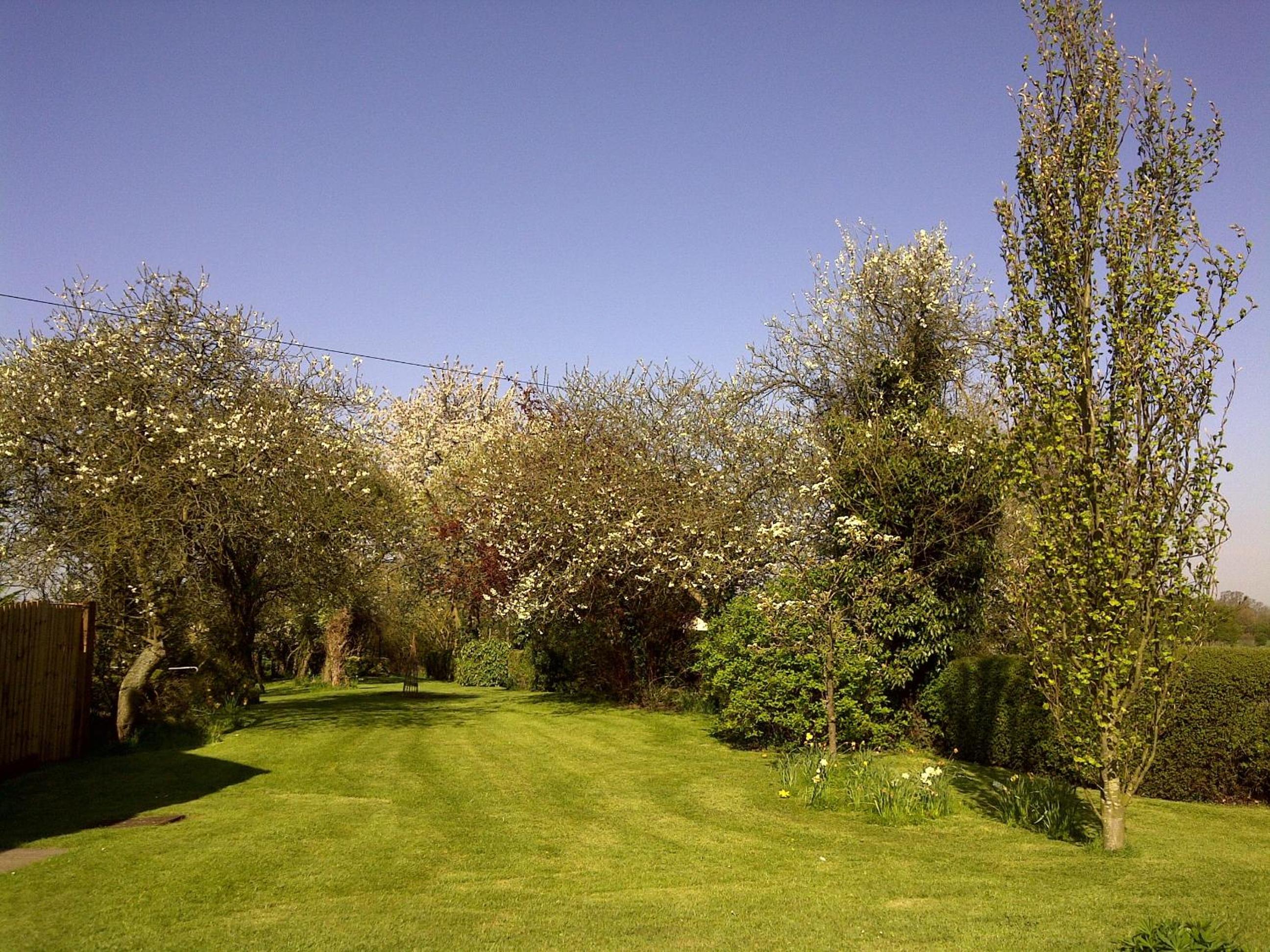 Acreland Green view 5