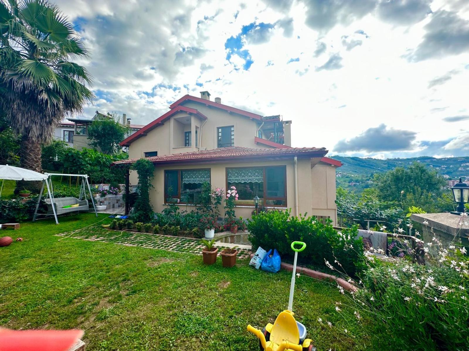 Photo 41
