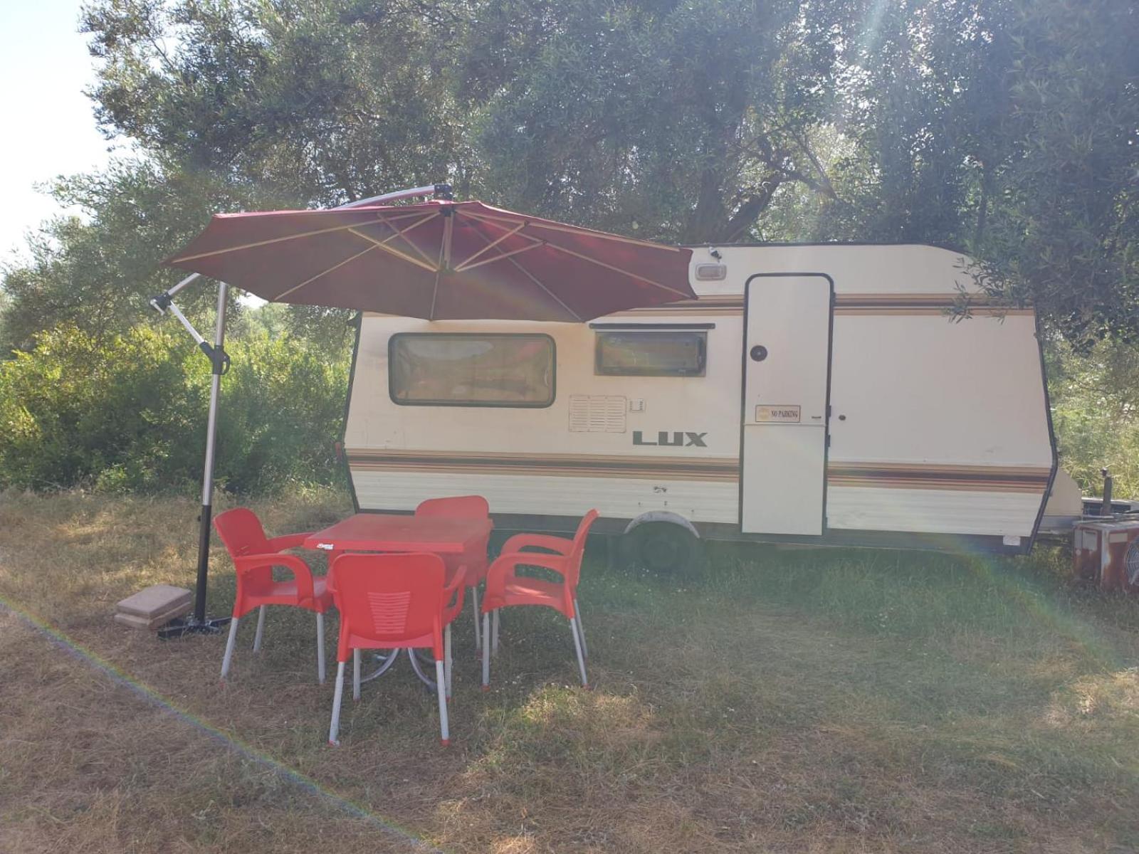 Aquariumi Jale Camping