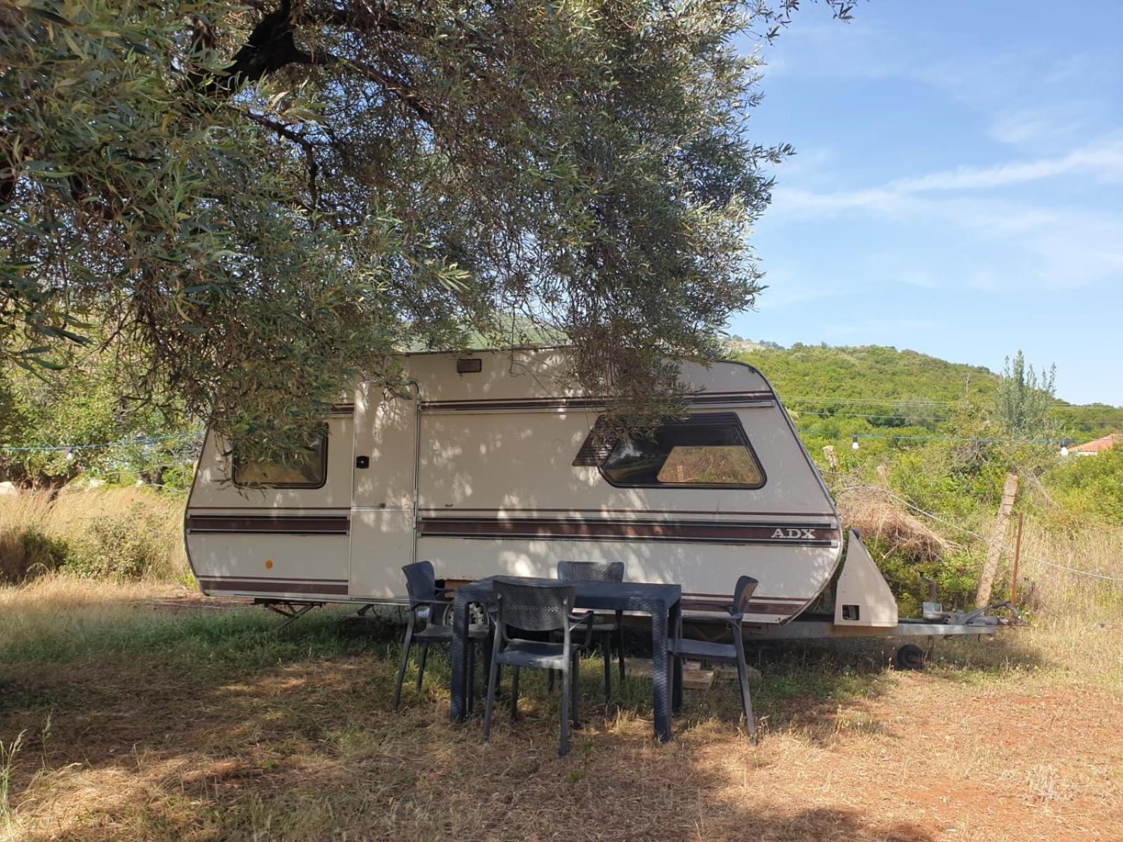 Aquariumi Jale Camping