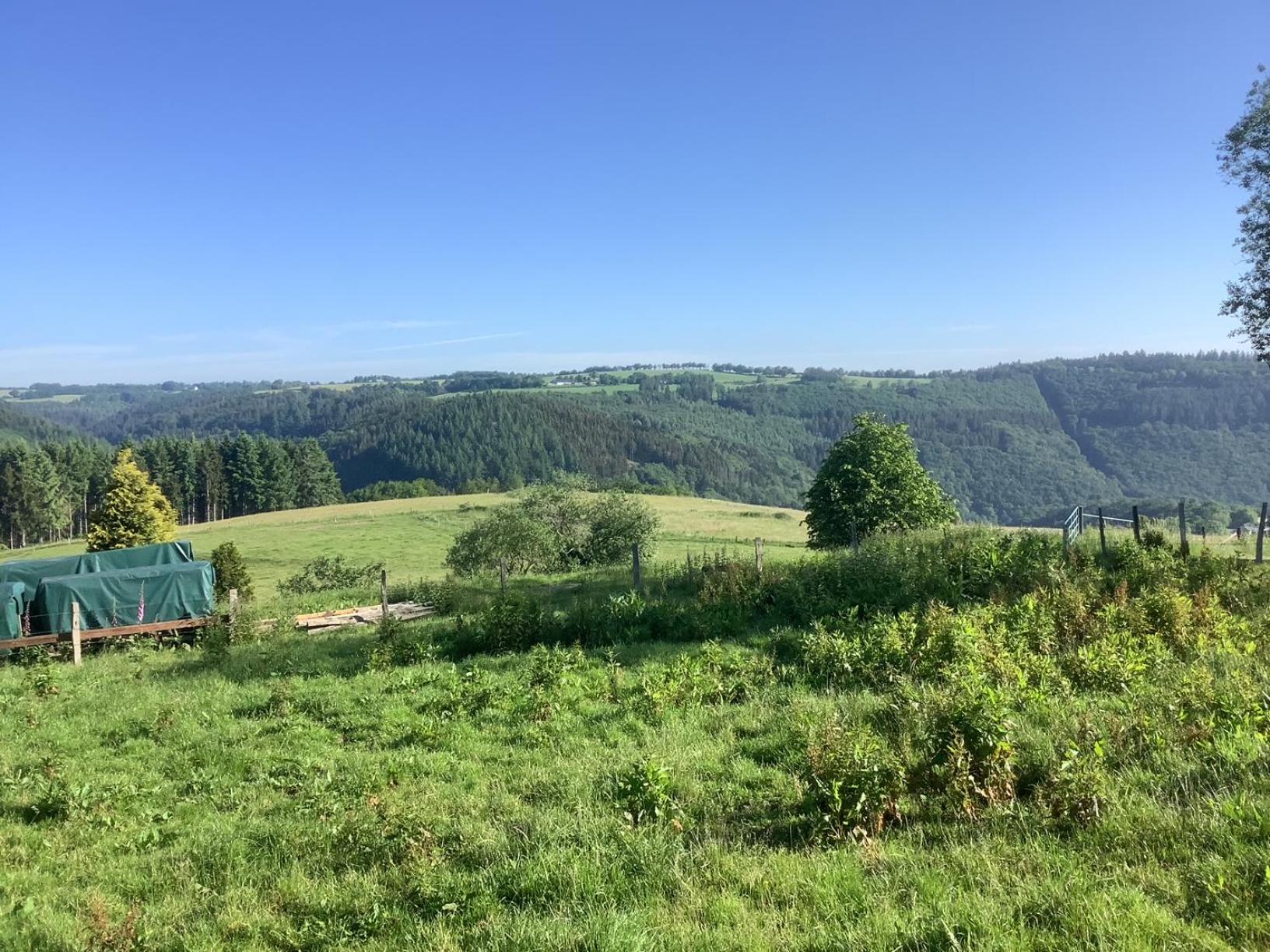 Berg Blick Eifler Bauernhaus modern restauriert