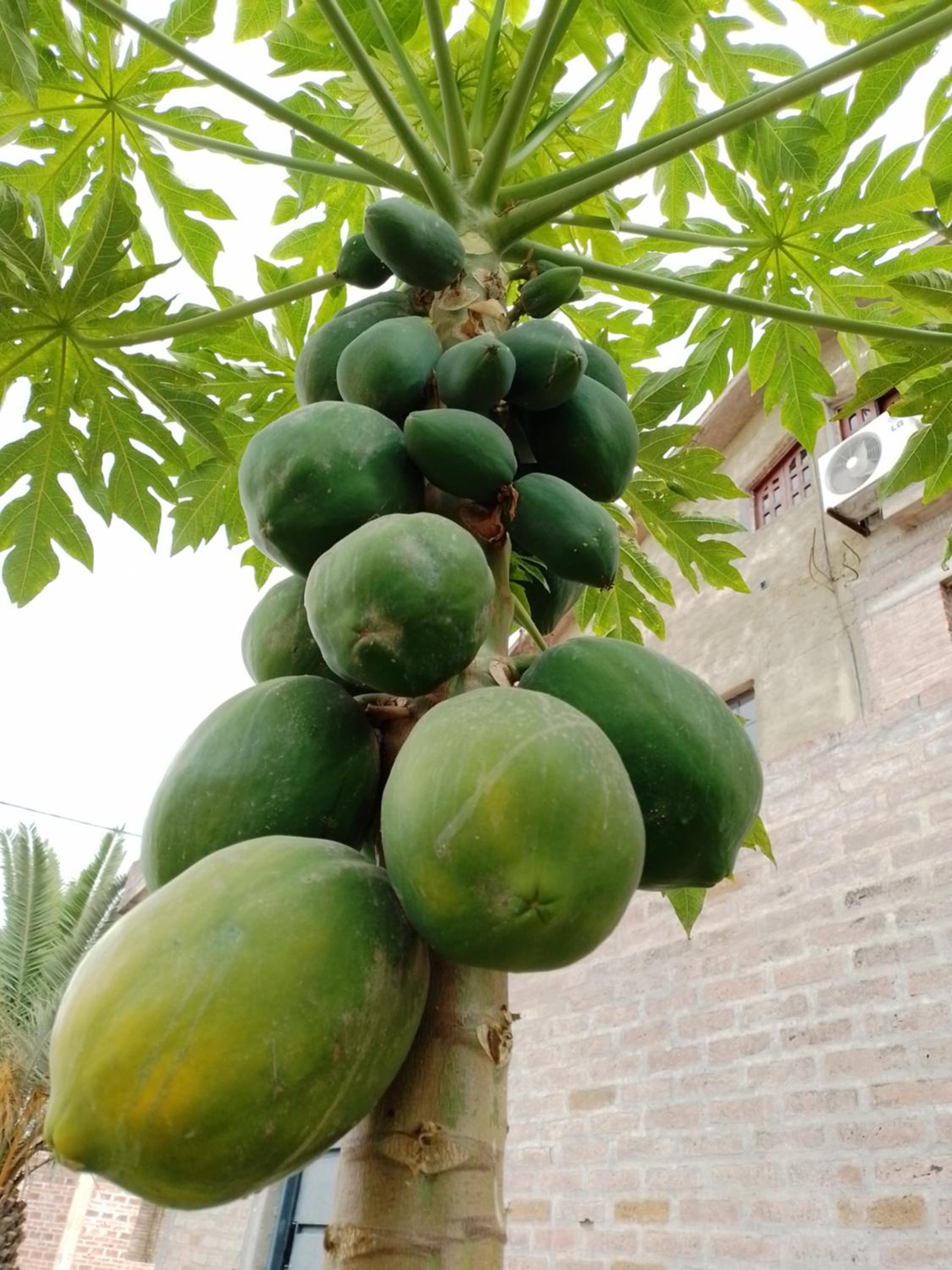 La Casona