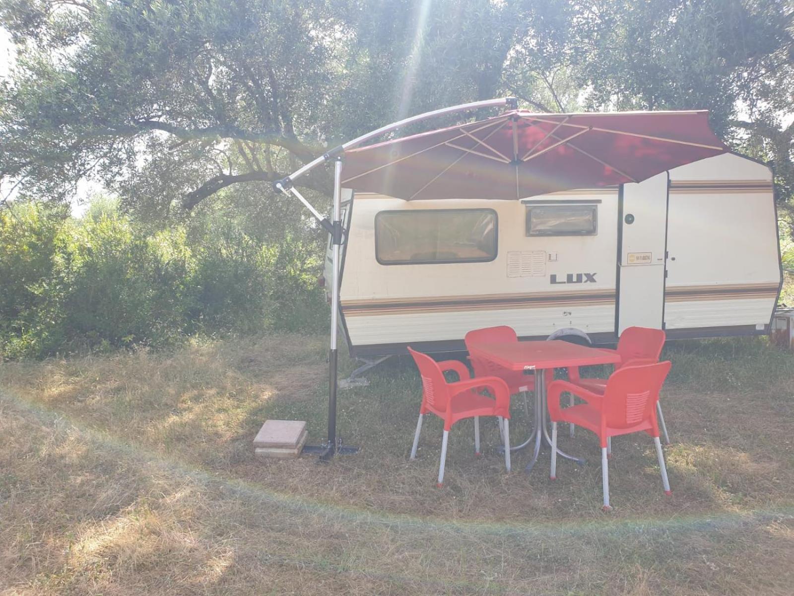 Aquariumi Jale Camping