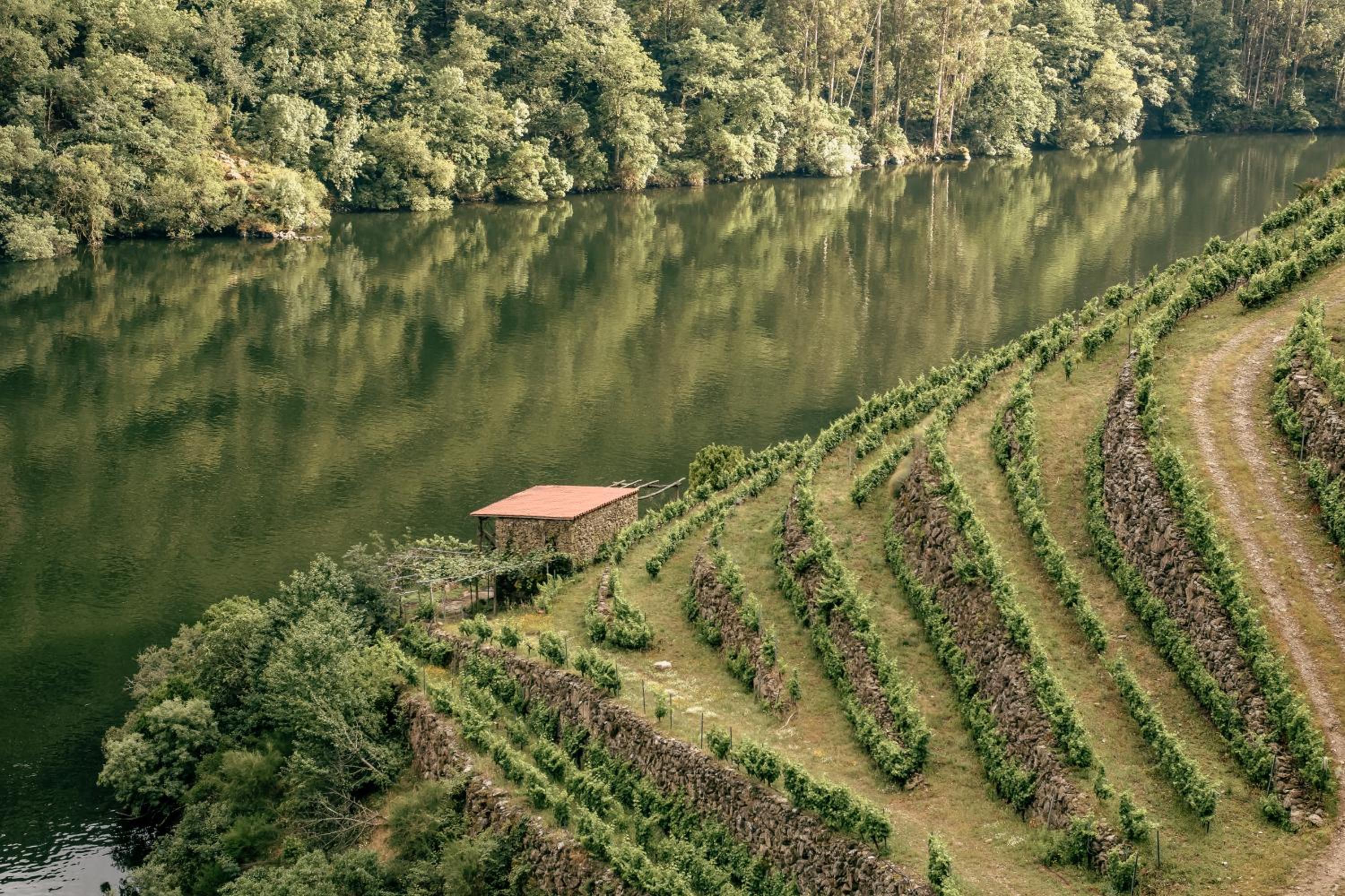 Casiñas do Sil