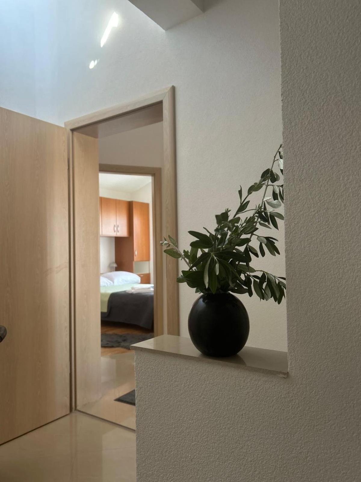 Lipa Apartman view 2