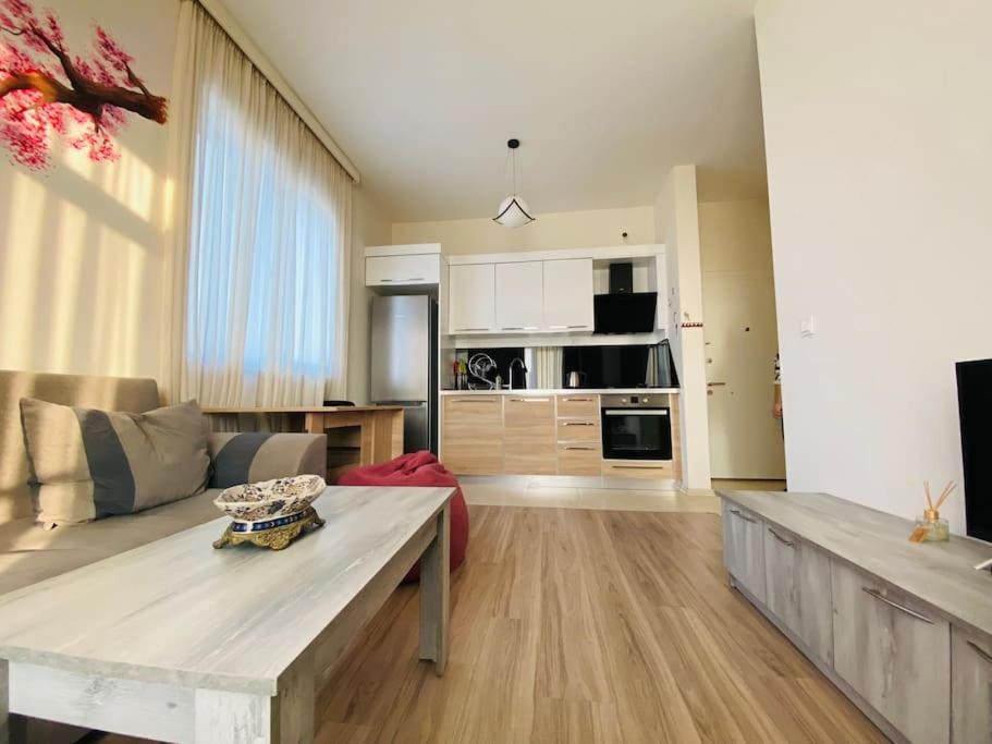 One Bedroom Apartment