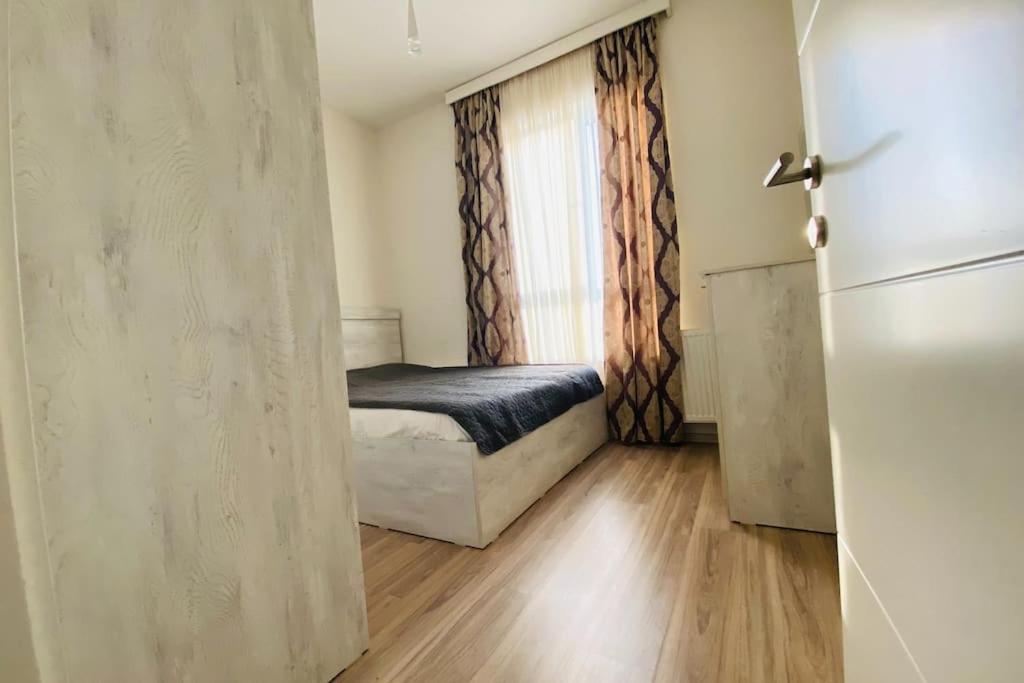 One Bedroom Apartment