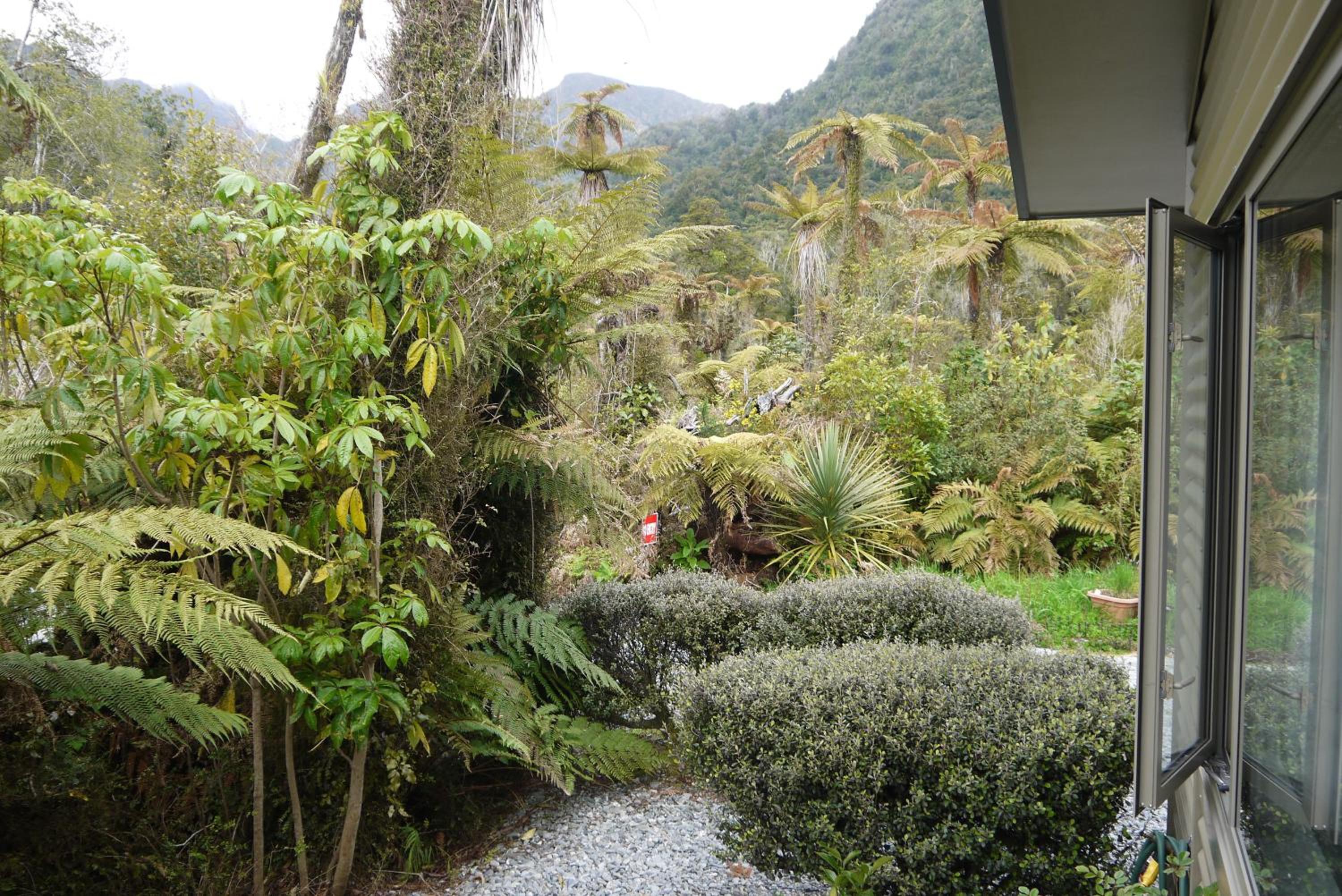 Franz Josef Treetops