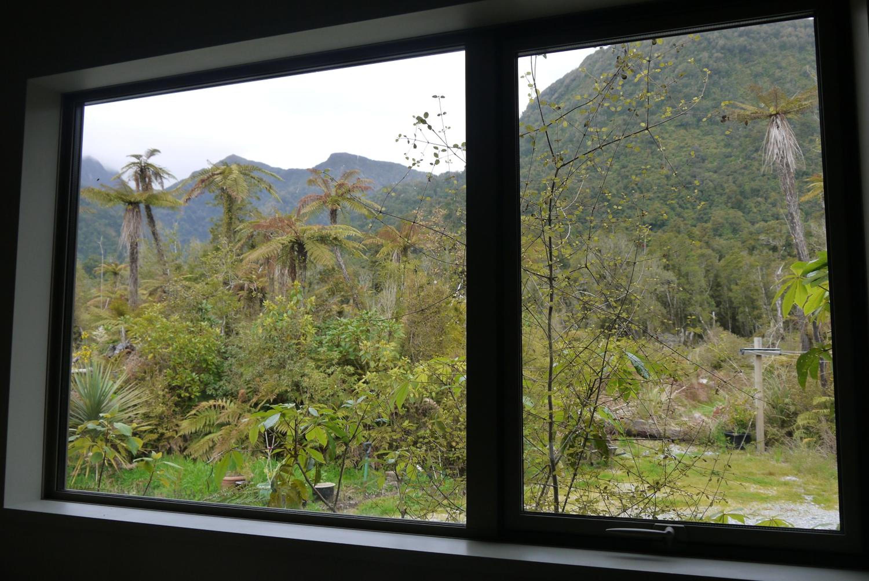 Franz Josef Treetops