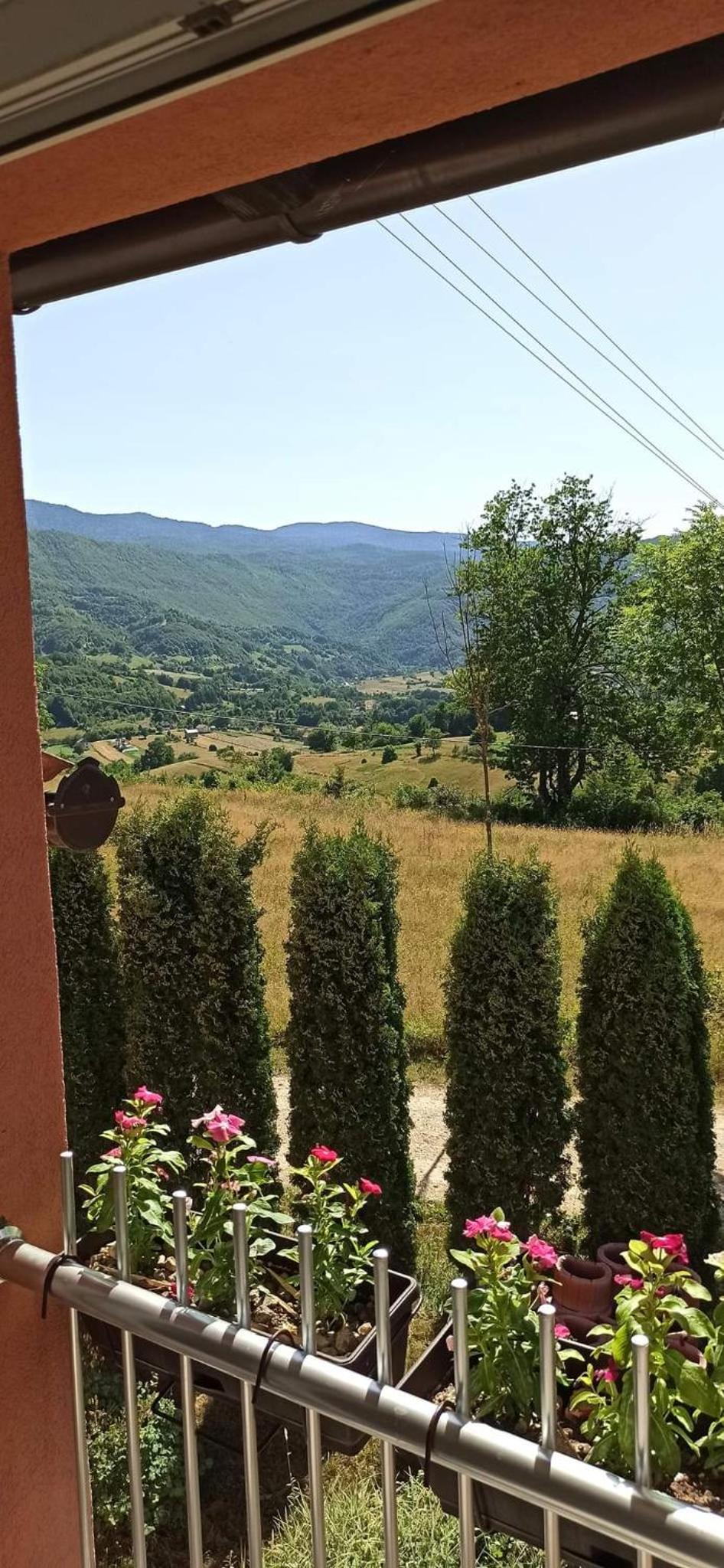 Vila Brdjanka