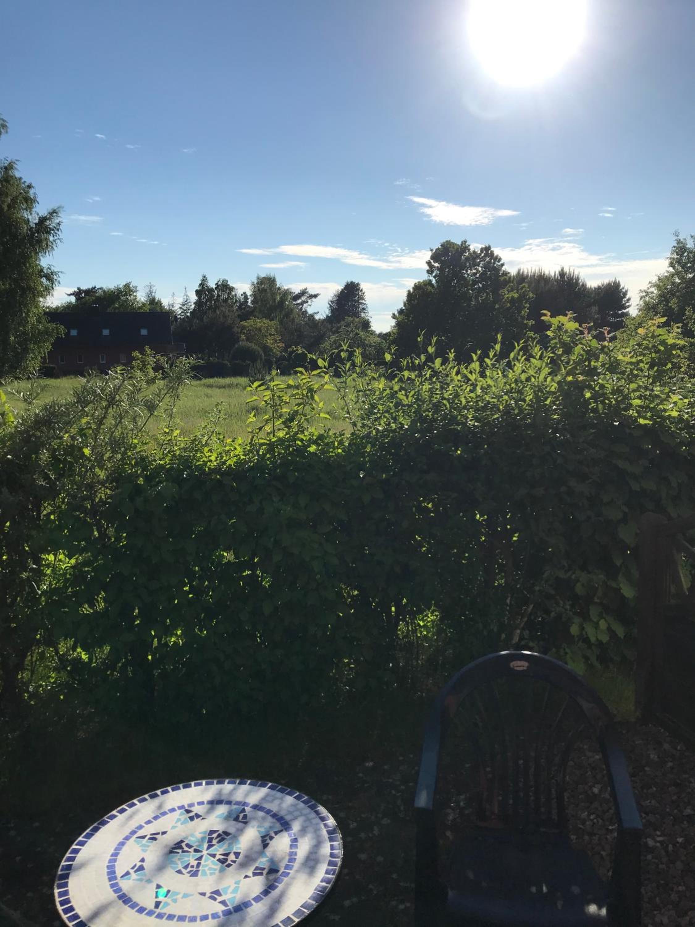 Sommerwiese