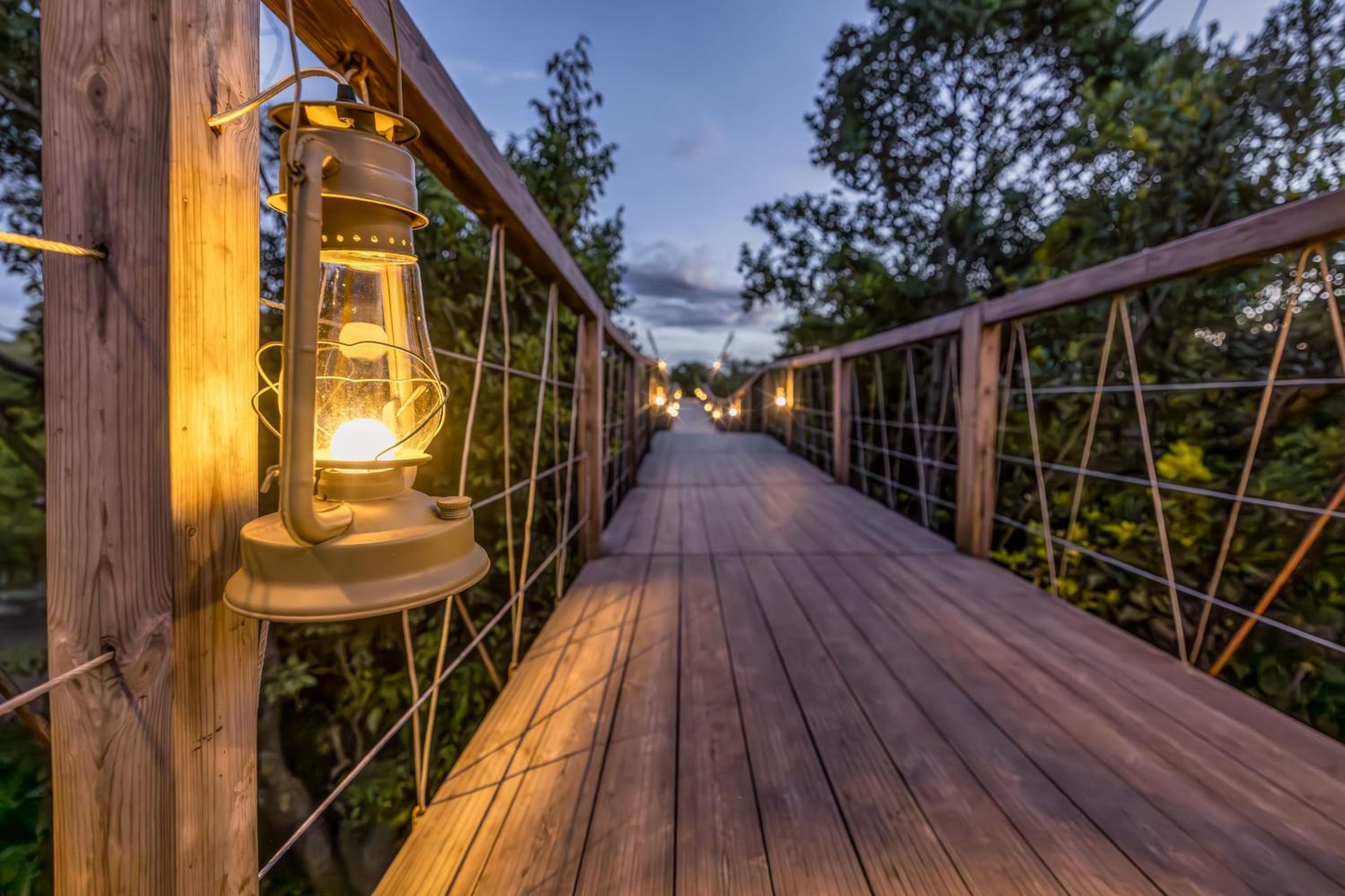 Masai Mara Vacations - JW Marriott Masai Mara Lodge - Property Image 10