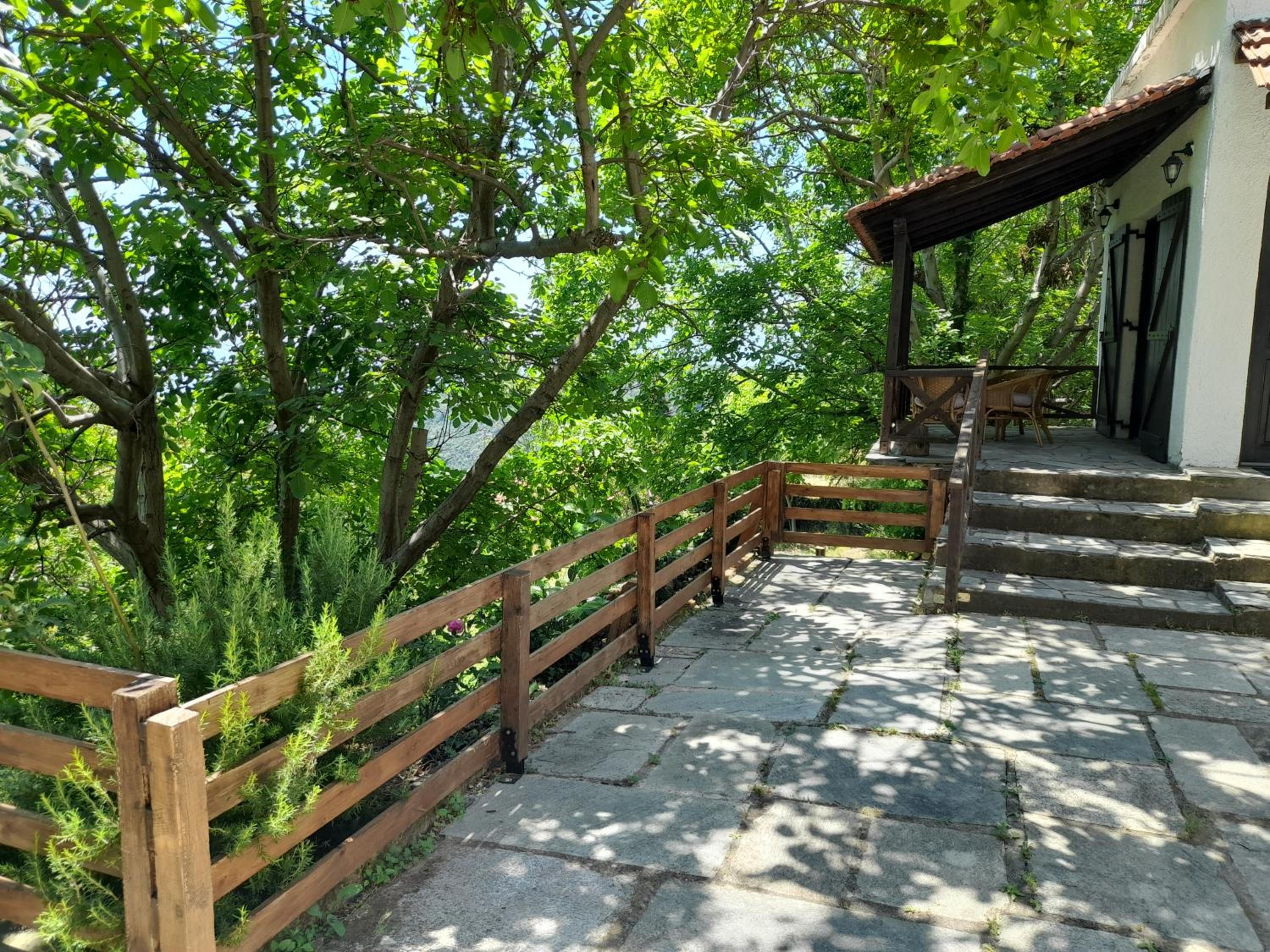 Photo 7