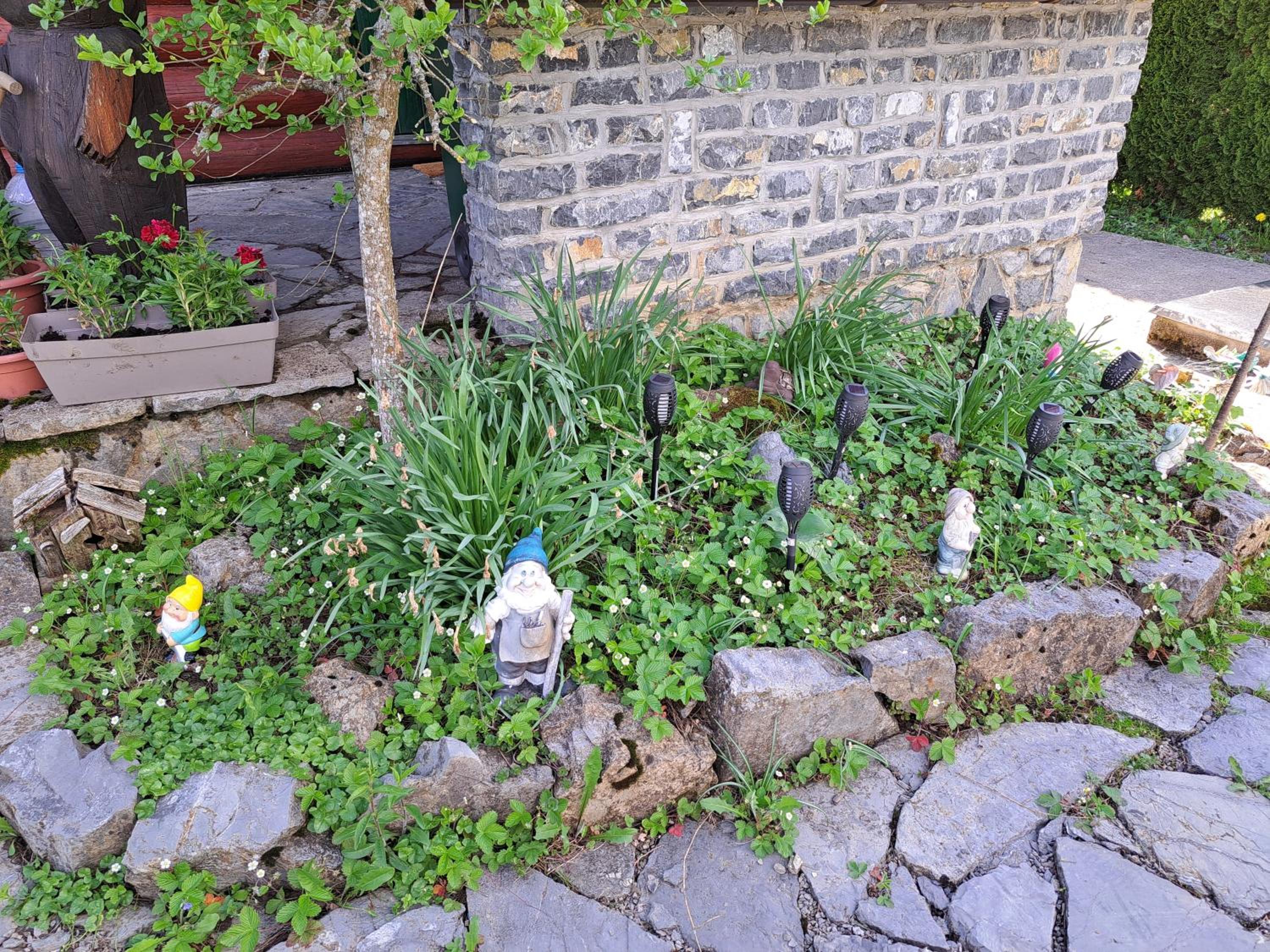 Photo 27