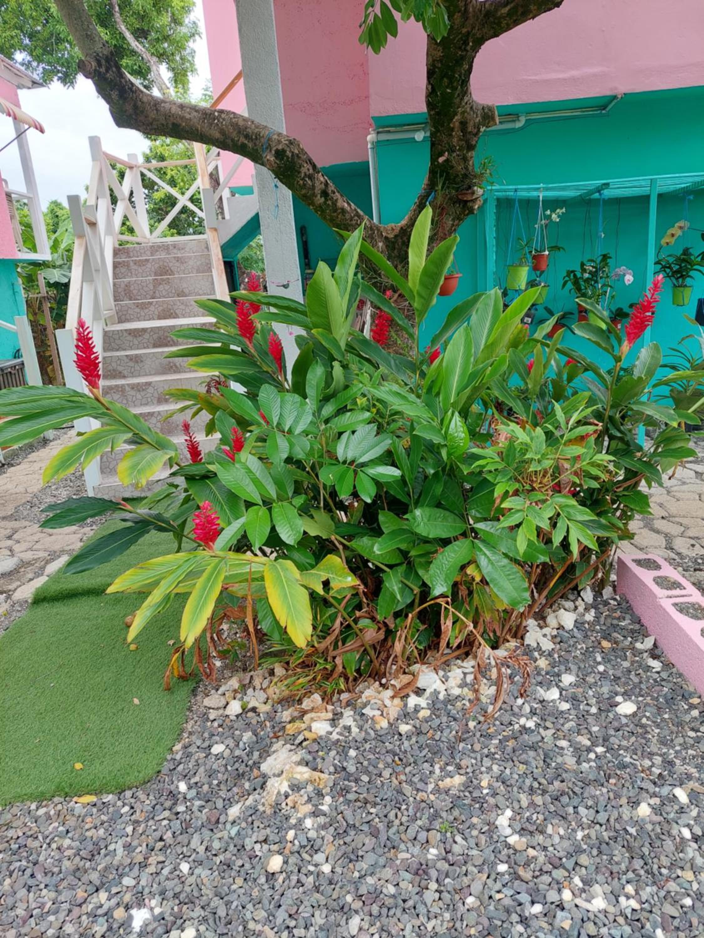 Photo 20