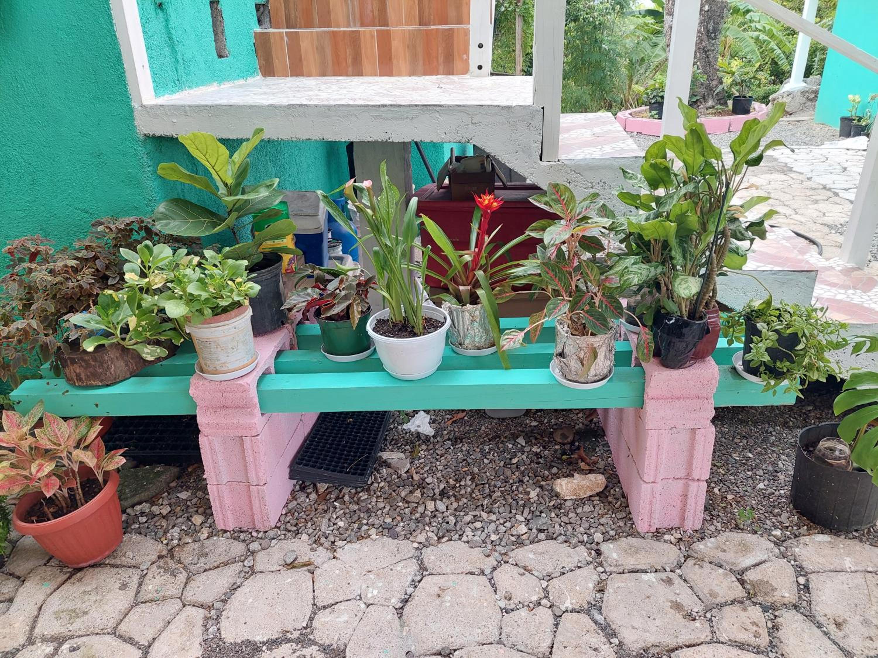 Photo 19
